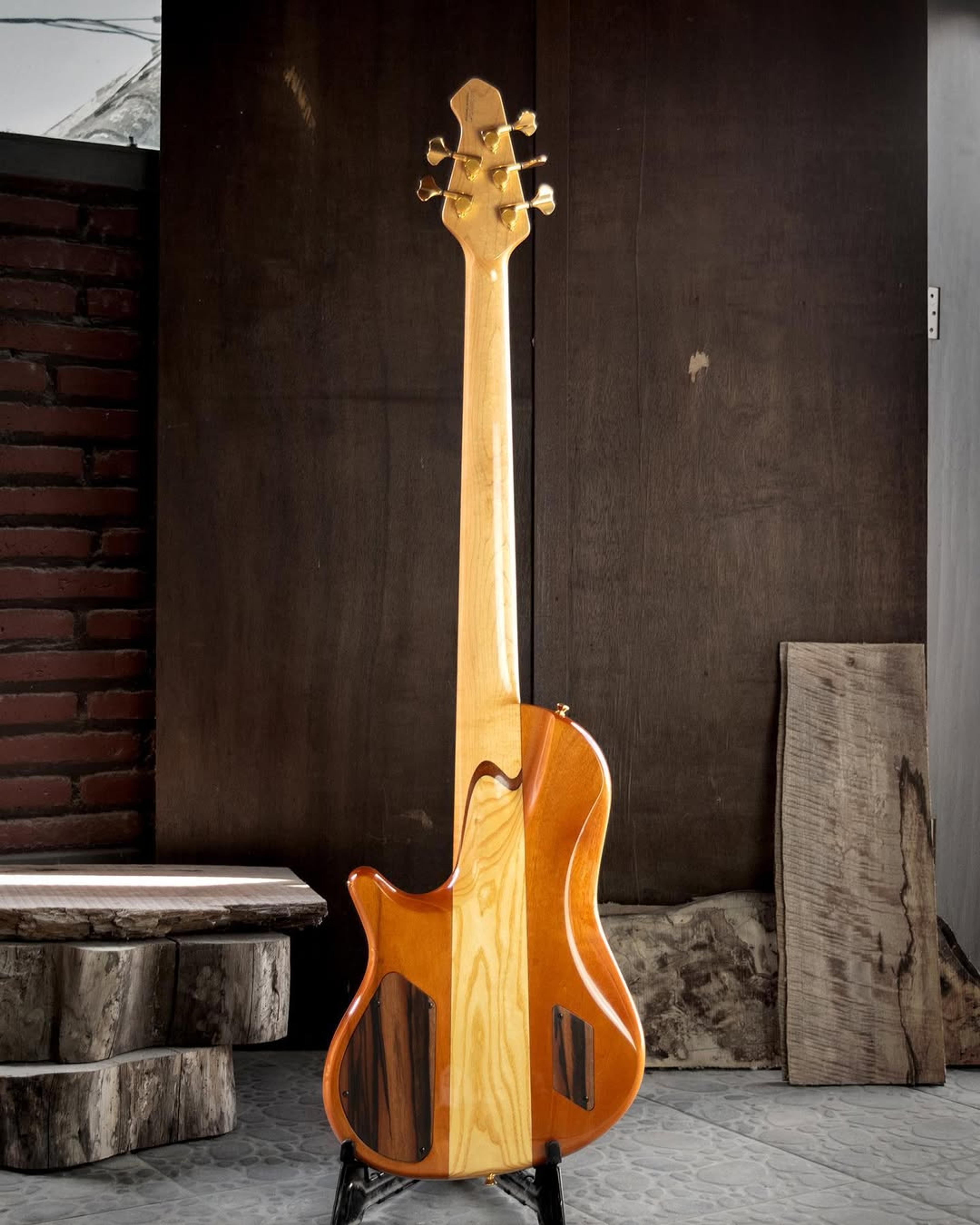 Full Back front view of the ODIENG Nebula 5 string bass