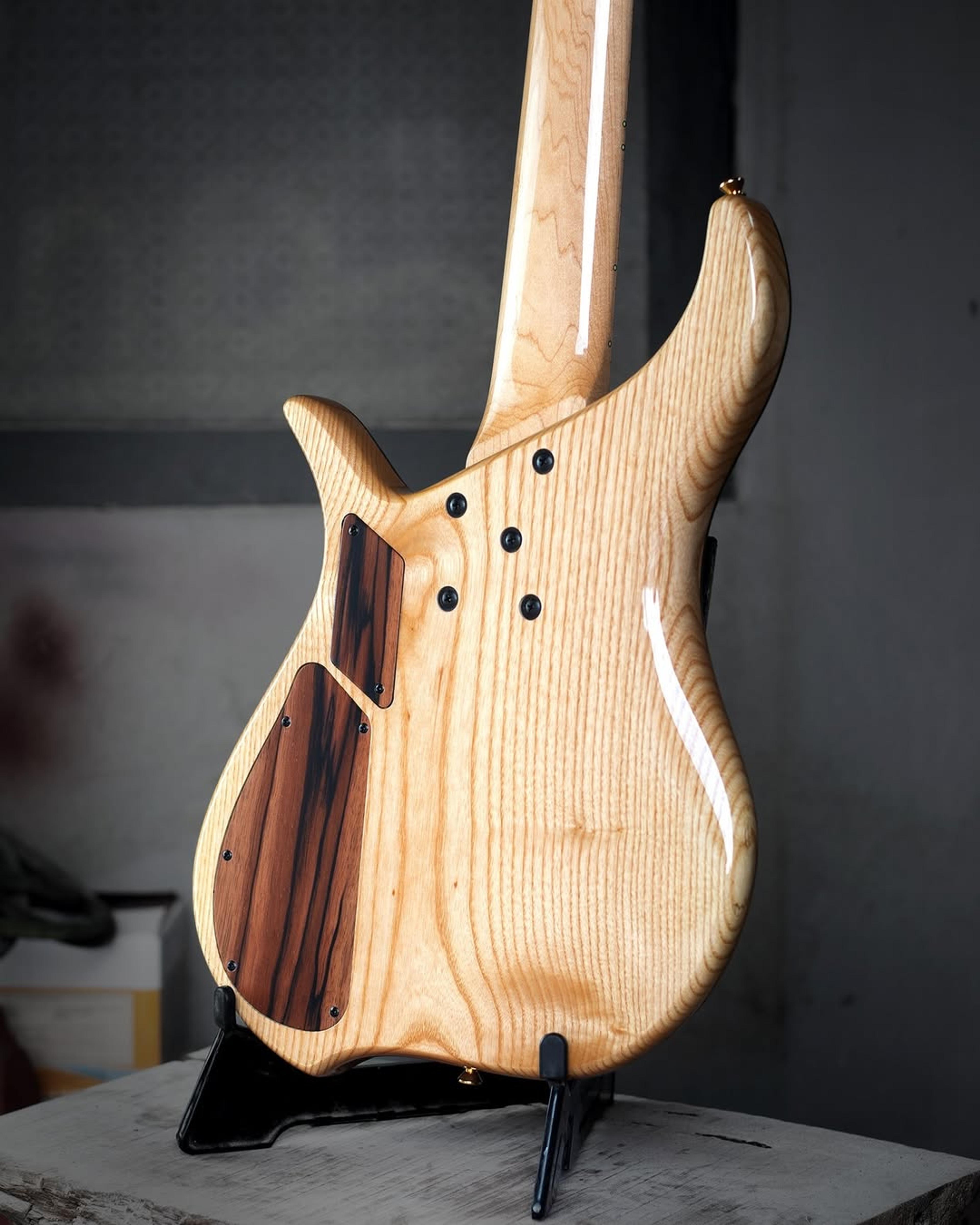 Back body view of the ODIENG Series Viper 5 string bass