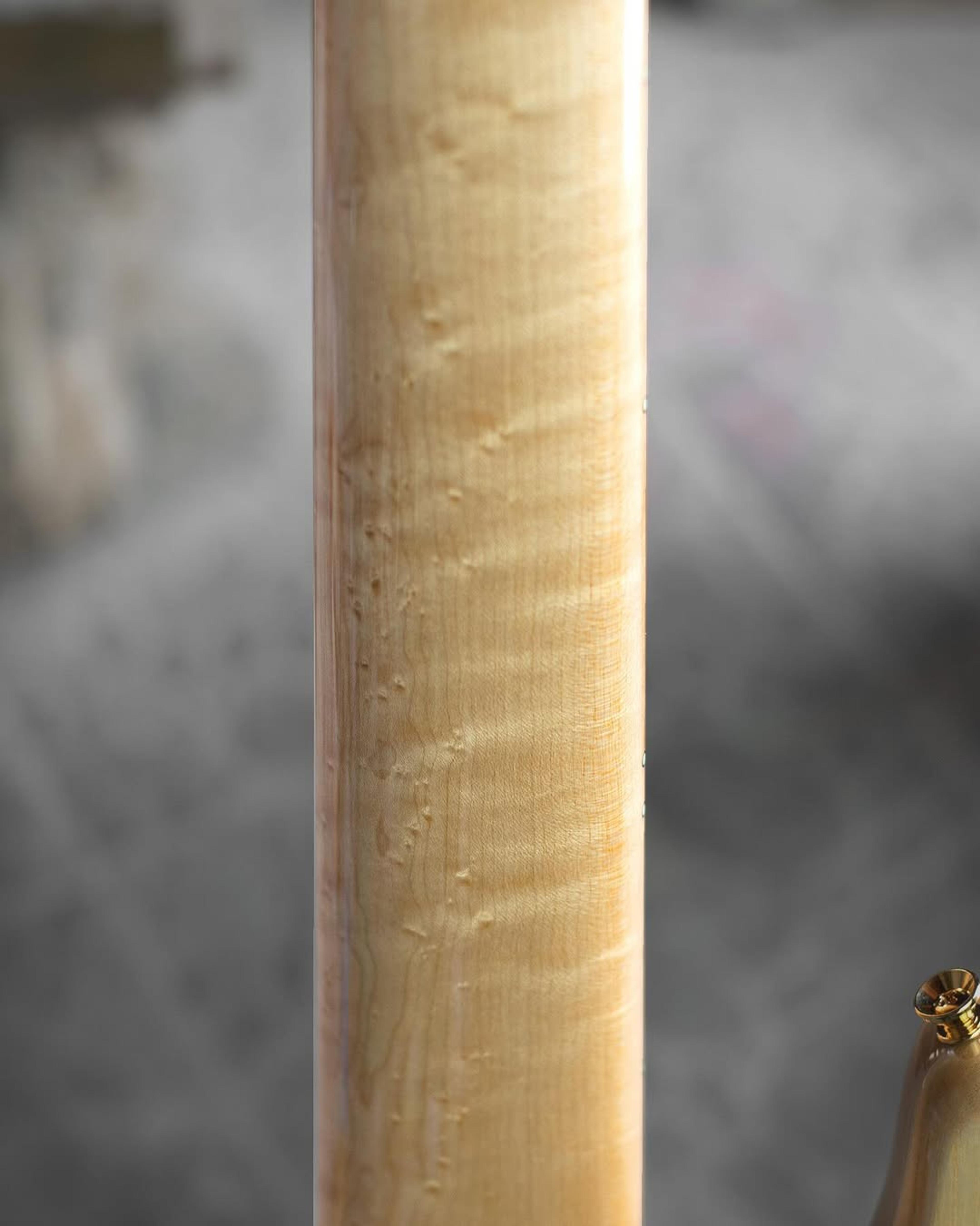 Back neck detail view of the ODIENG INZ 5 string bass