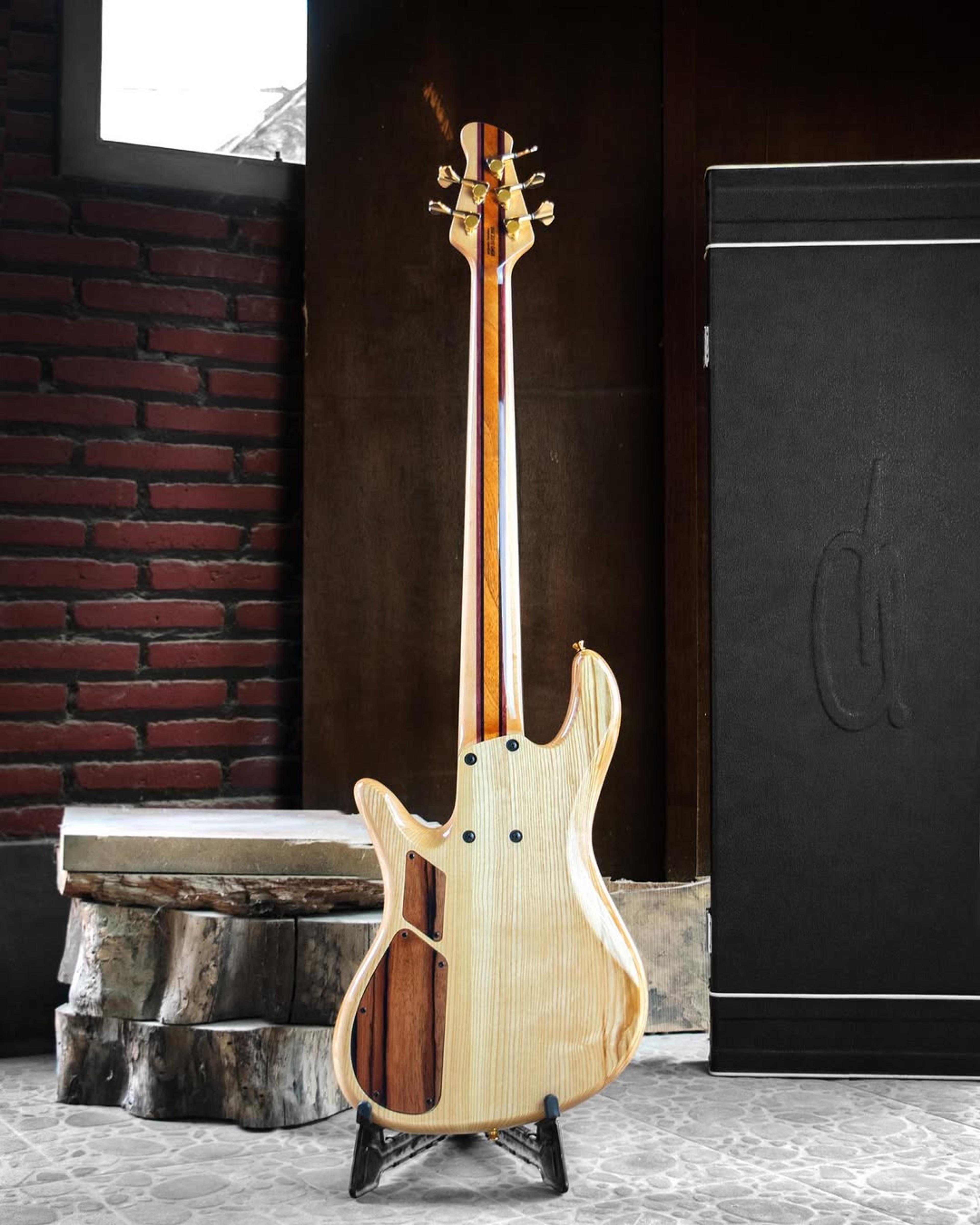 Full Back front view of the ODIENG INZ 5 string bass