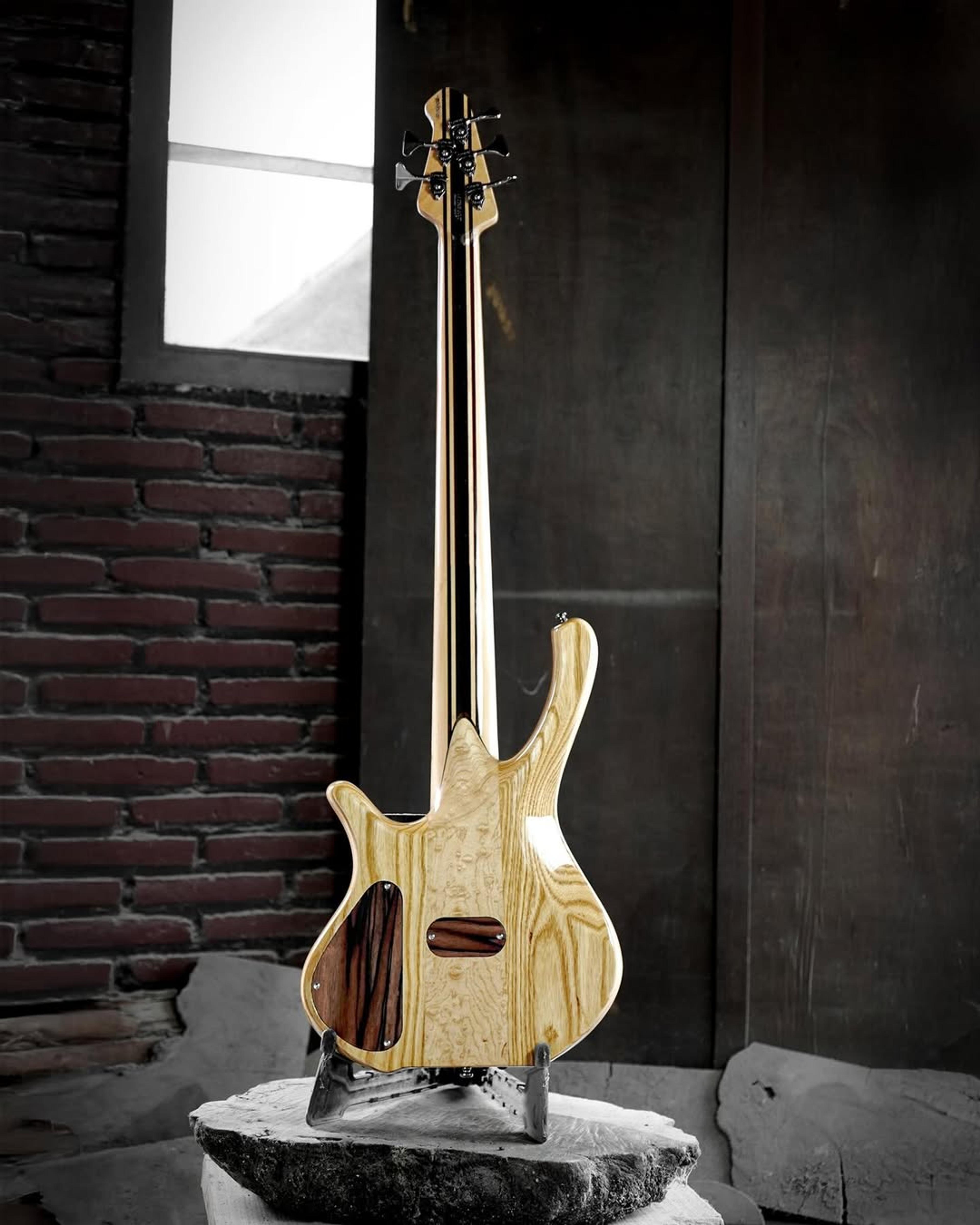 Full Back front view of the EF Morbid 5 string bass