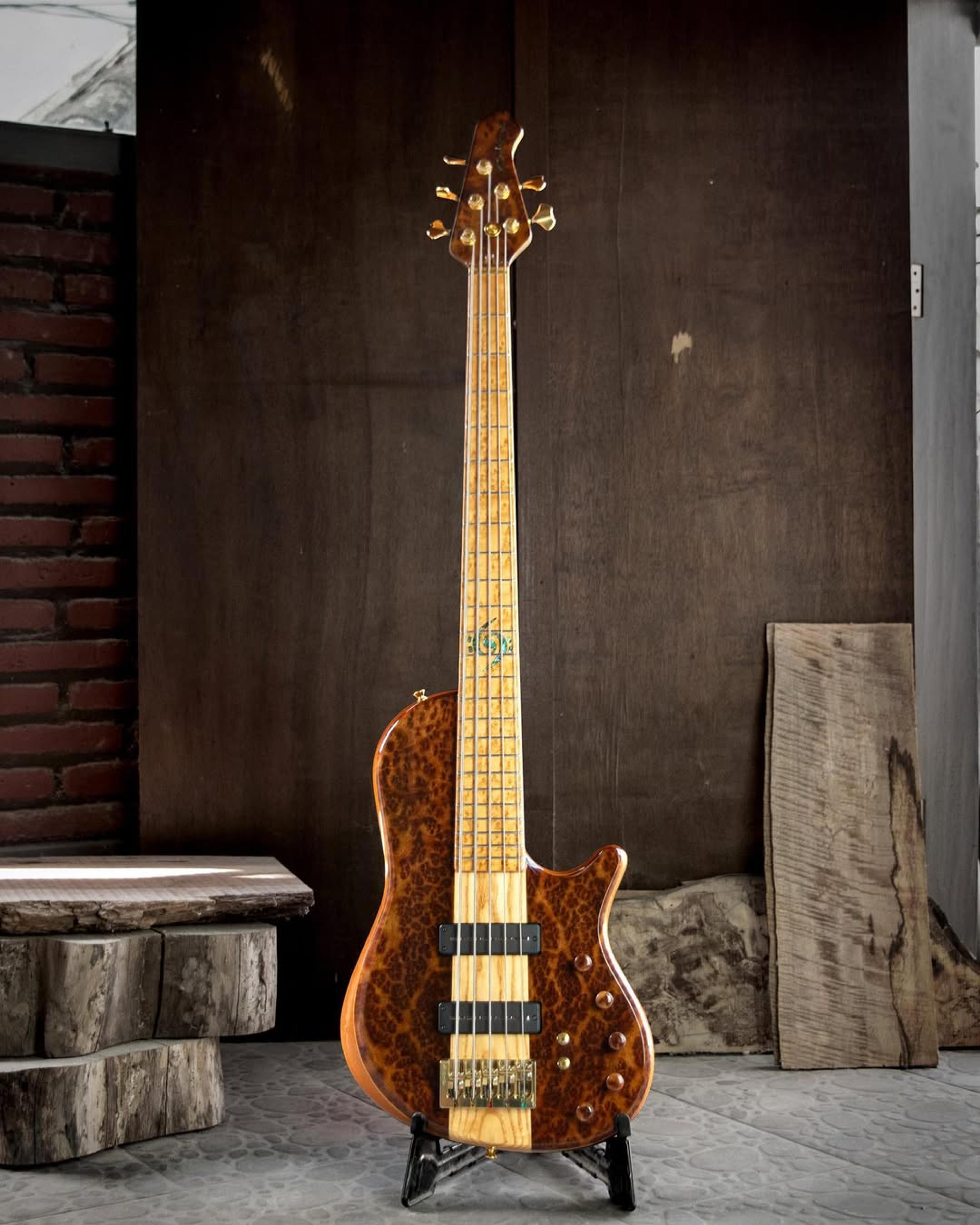 Full front view of the ODIENG Nebula 5 string bass