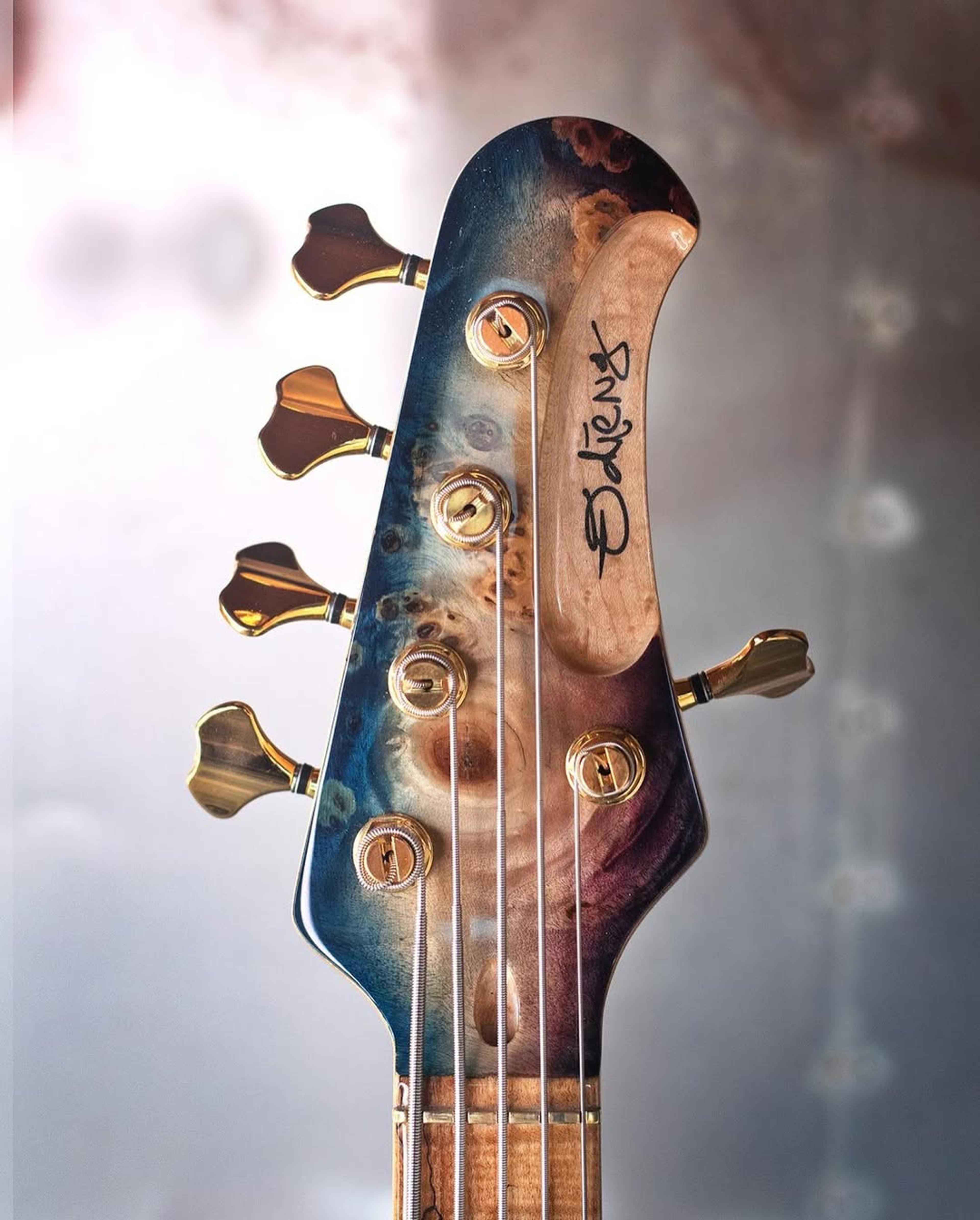 Front Headstock view of the ODIENG Viper 5 string bass