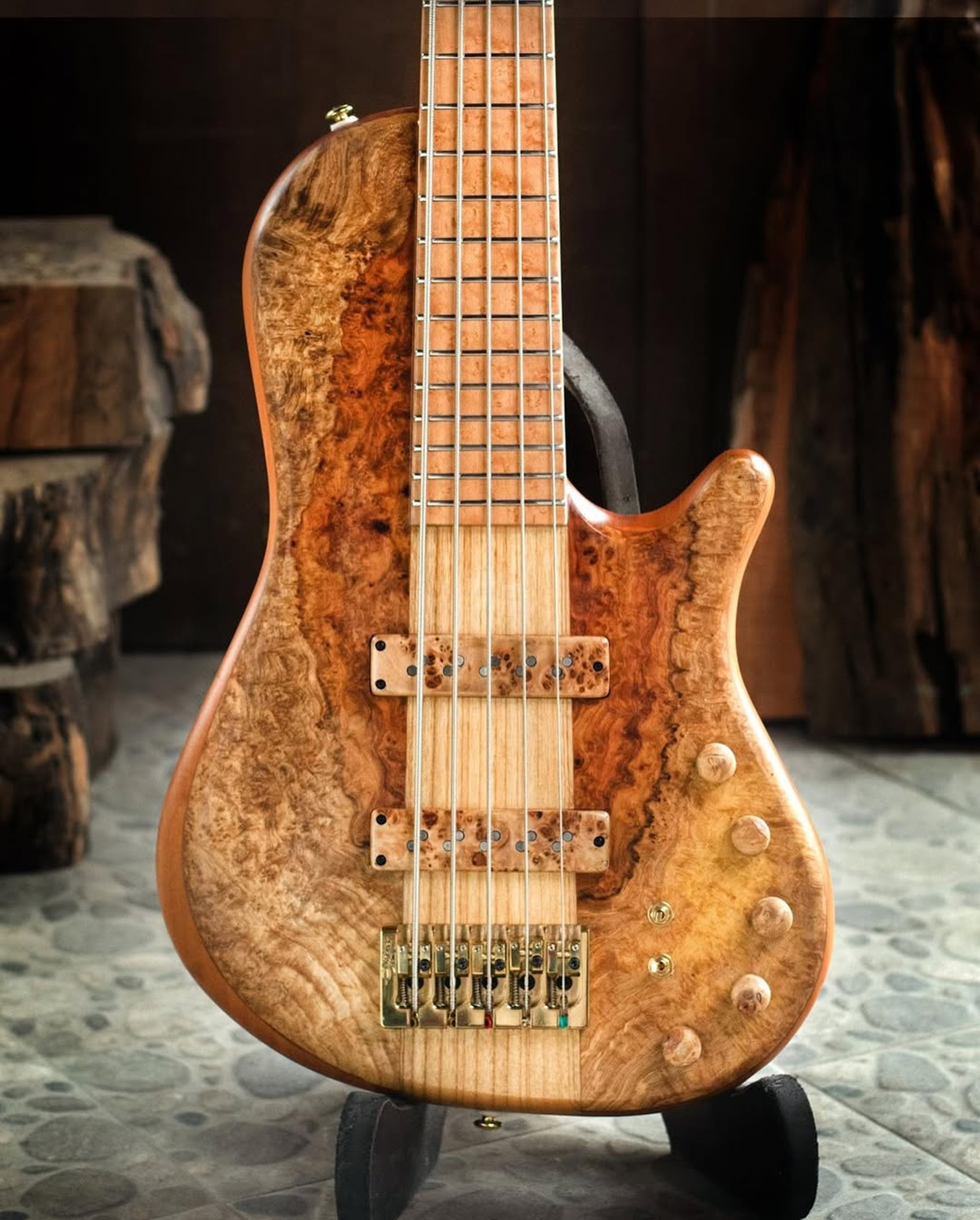 Front body view of the ODIENG Nebula 5 string bass