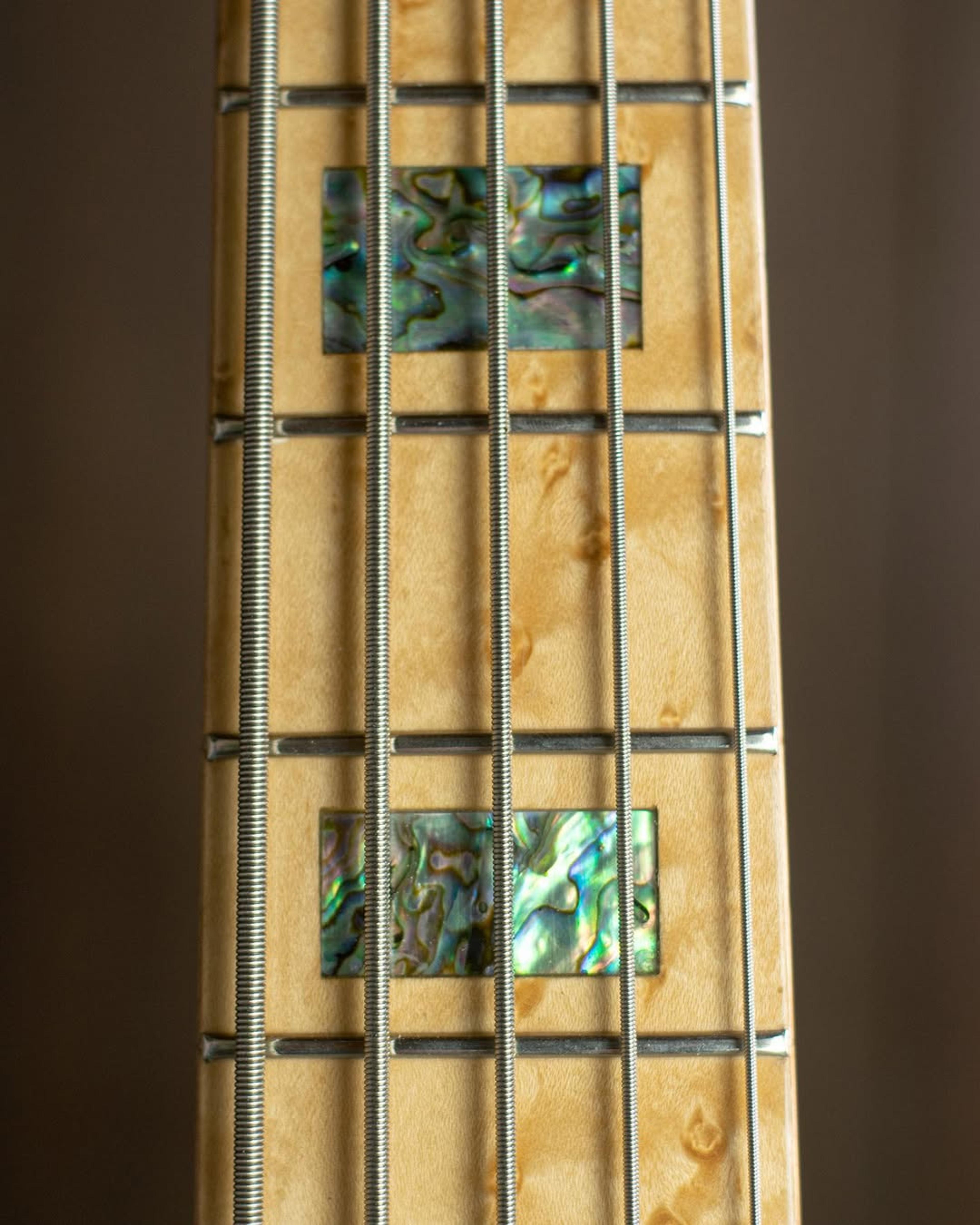 Front detail fretboard view of the ODIENG RS Series 5 string bass