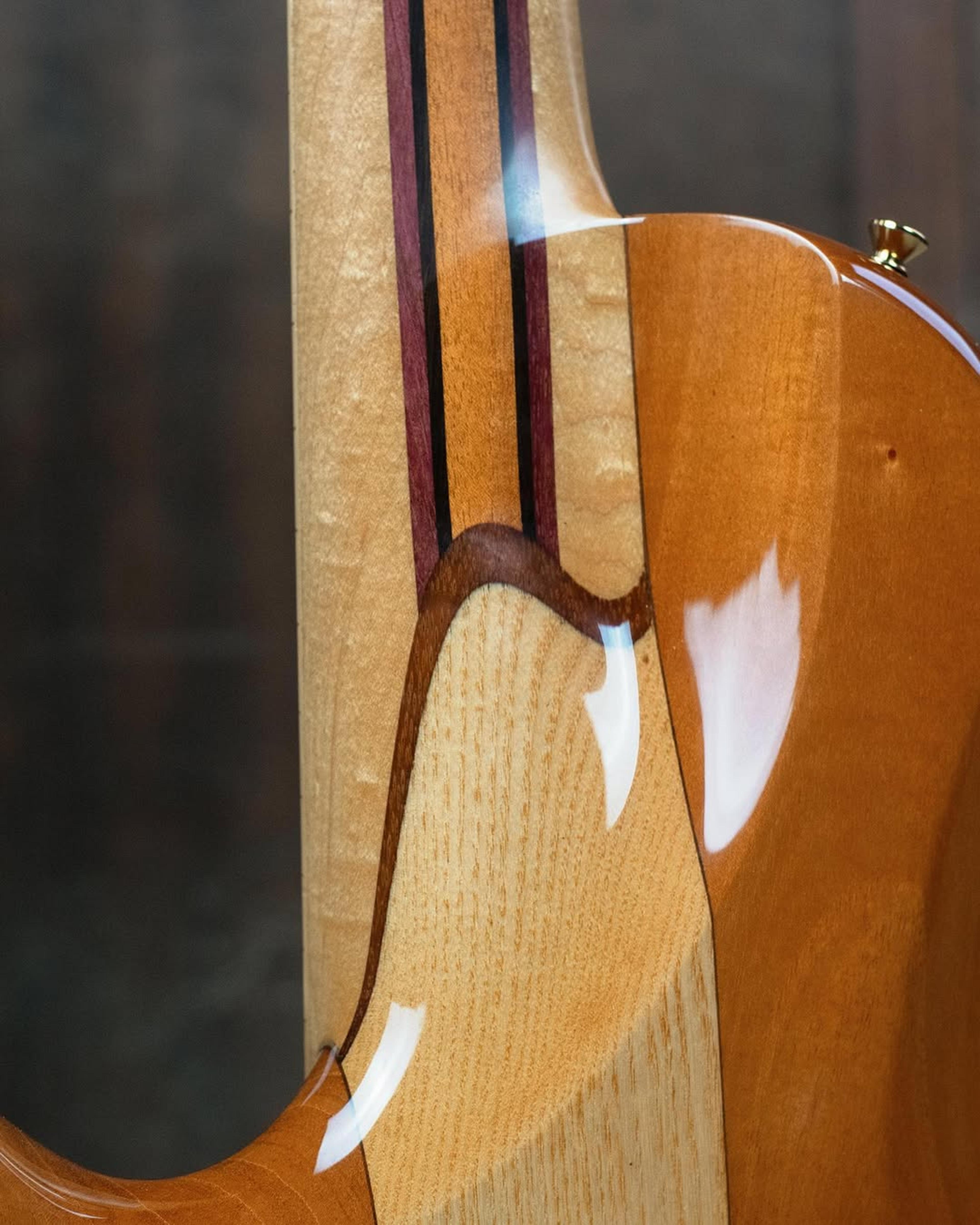 Back detail view of the ODIENG Nebula 5 string bass
