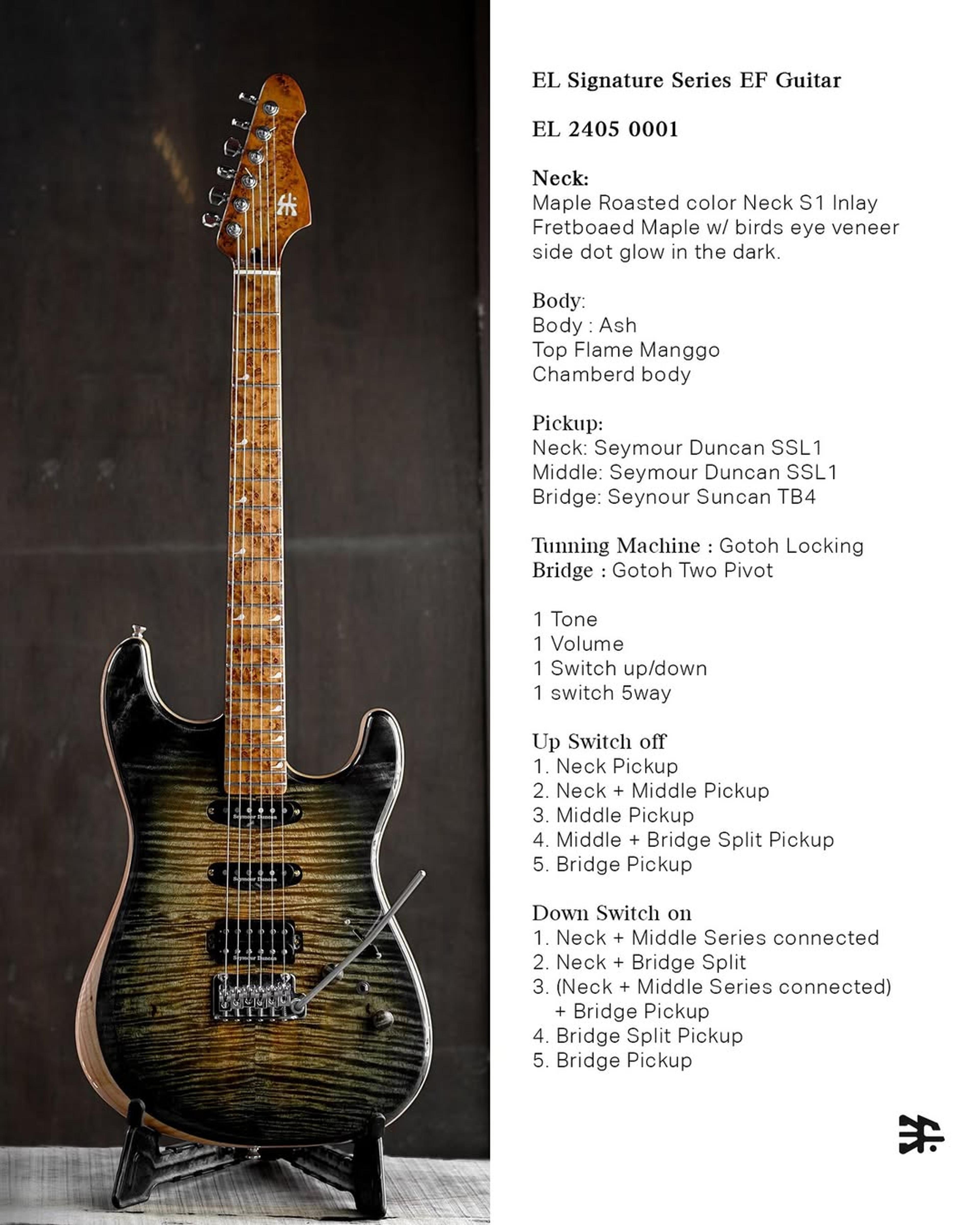 Full specification of the ODIENG El Signature 6 string Guitar
