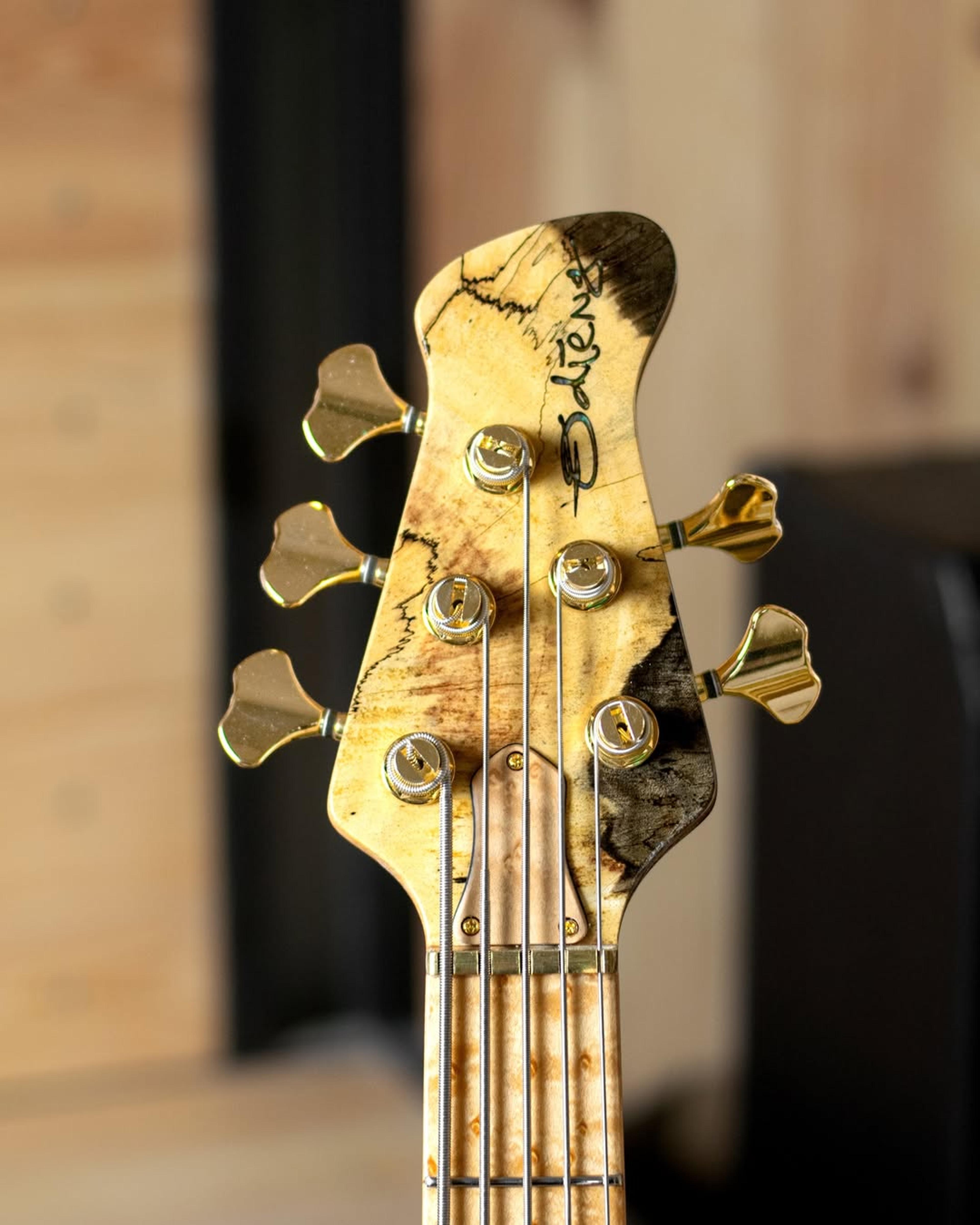 Front Headstock view of the ODIENG RS Series 5 string bass