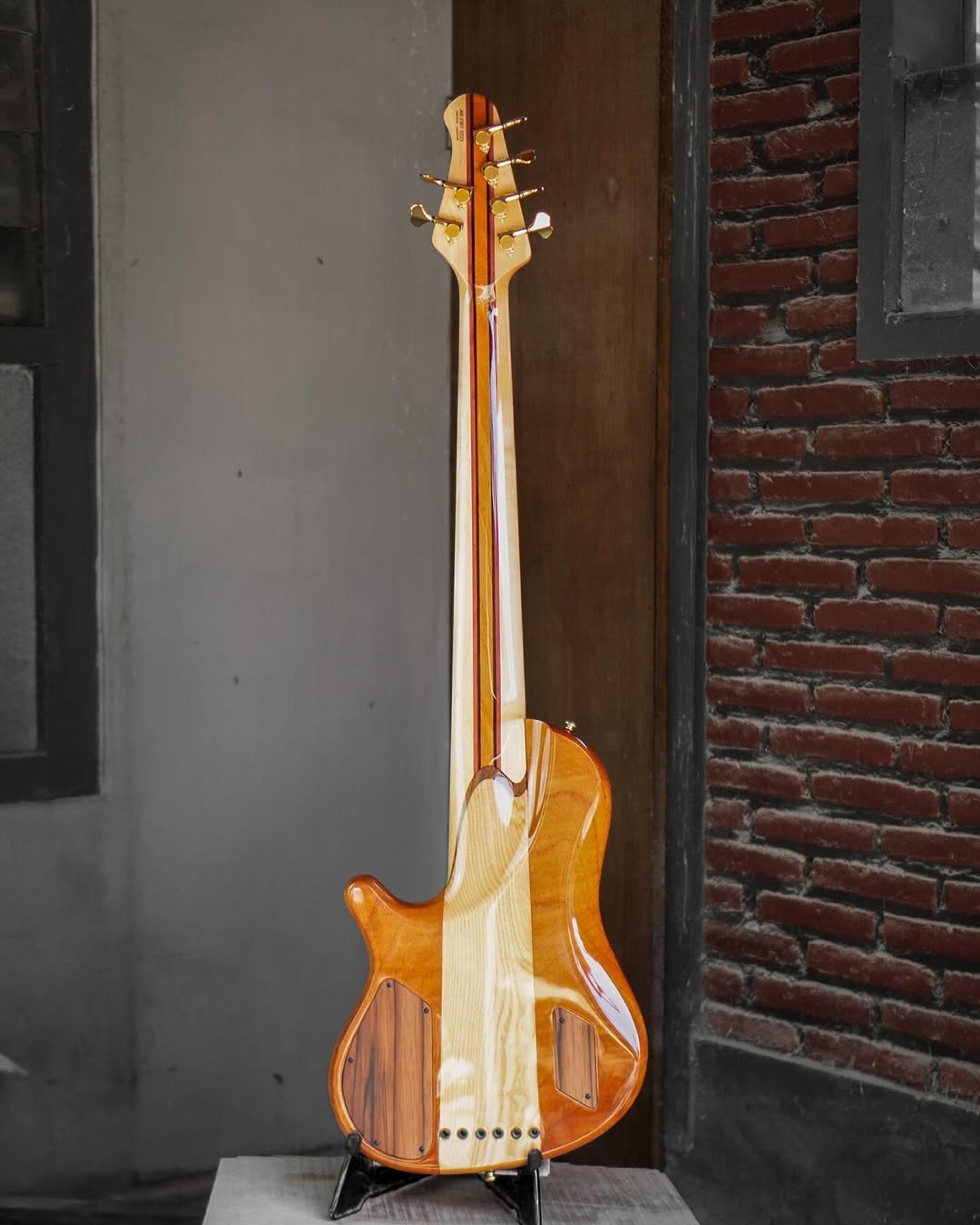Full Back front view of the ODIENG Nebula 6 string bass