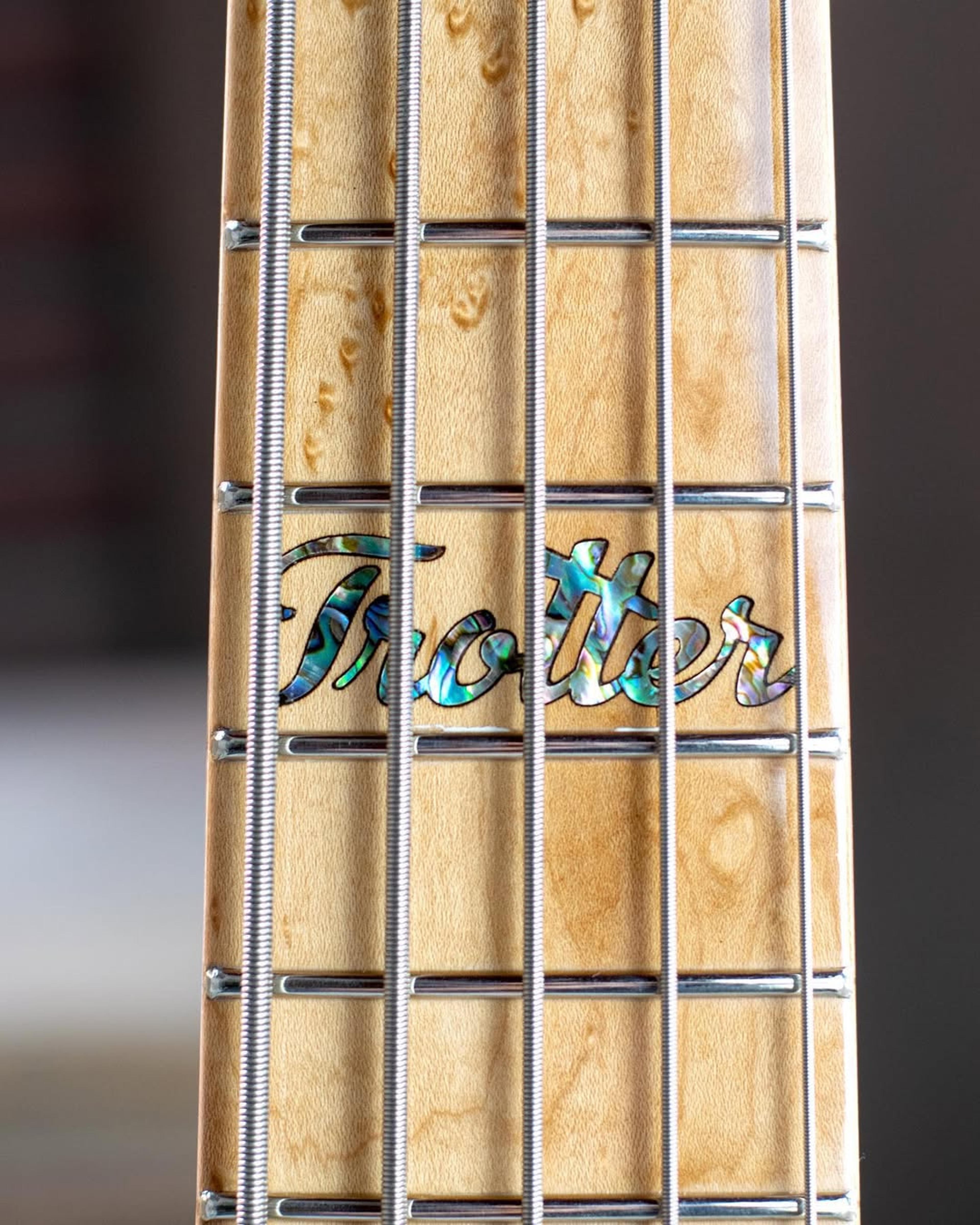 Front detail fretboard view of the ODIENG INZ 5 string bass