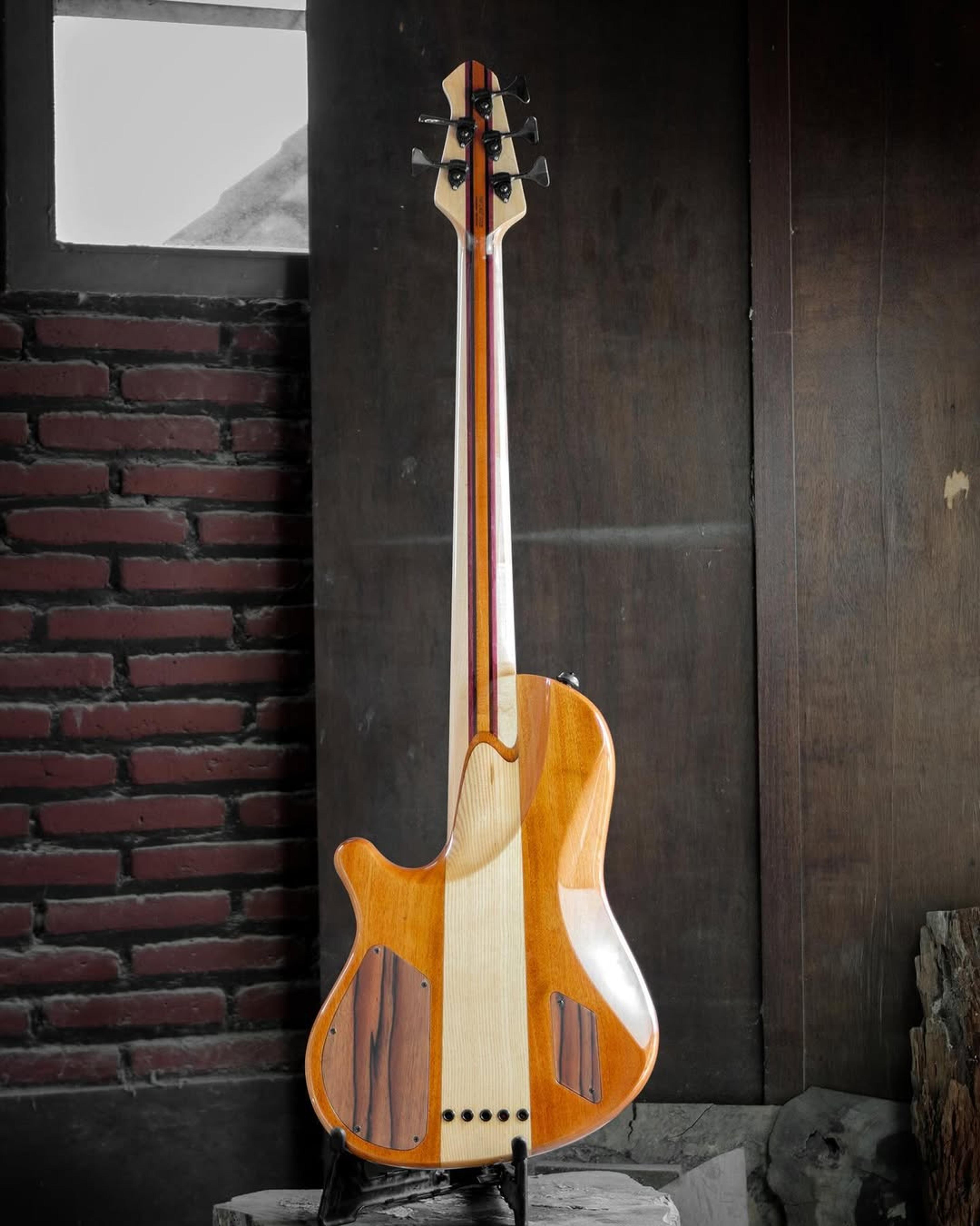 Full Back front view of the ODIENG Nebula 5 string bass