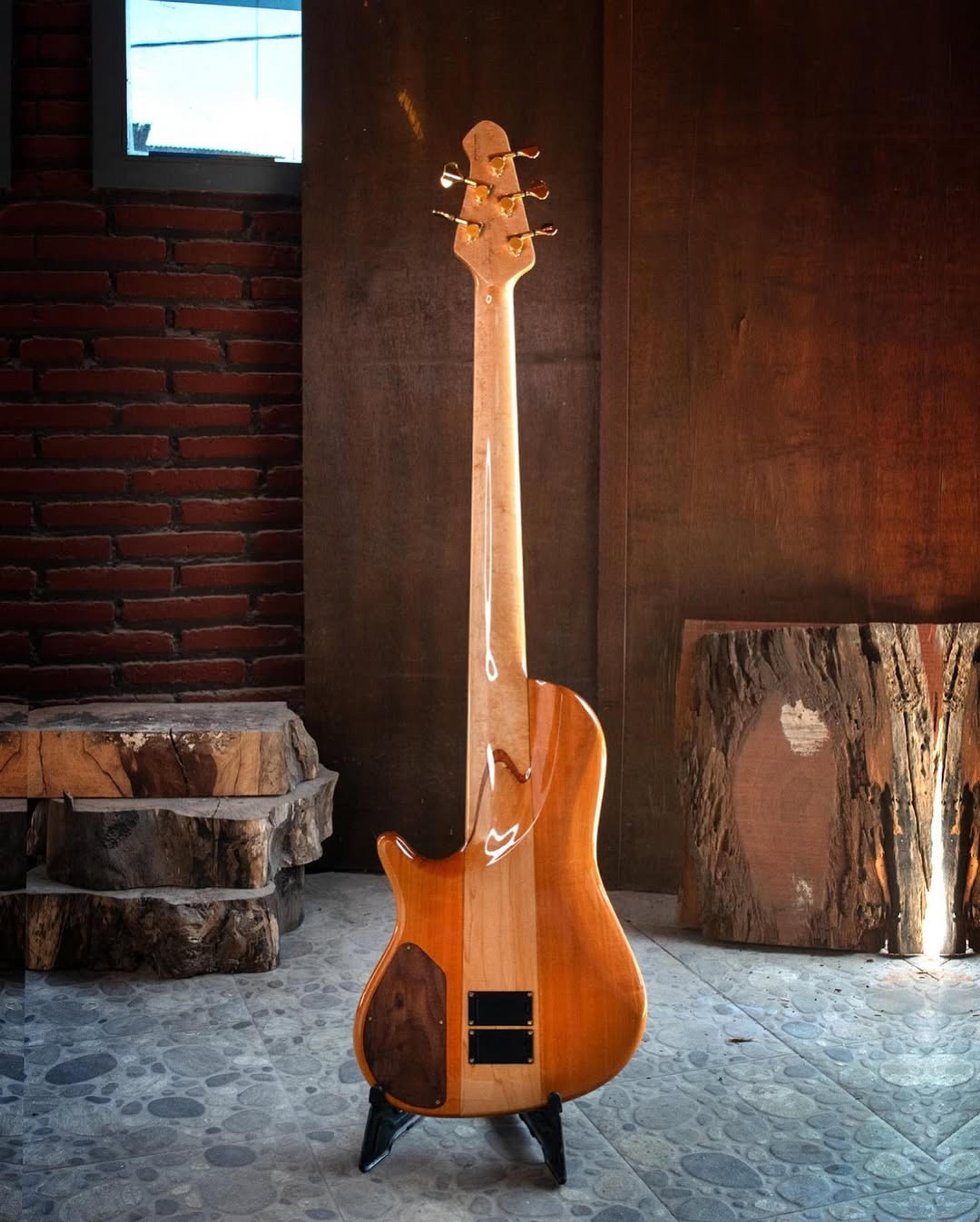 Full Back front view of the ODIENG Nebula 5 string bass