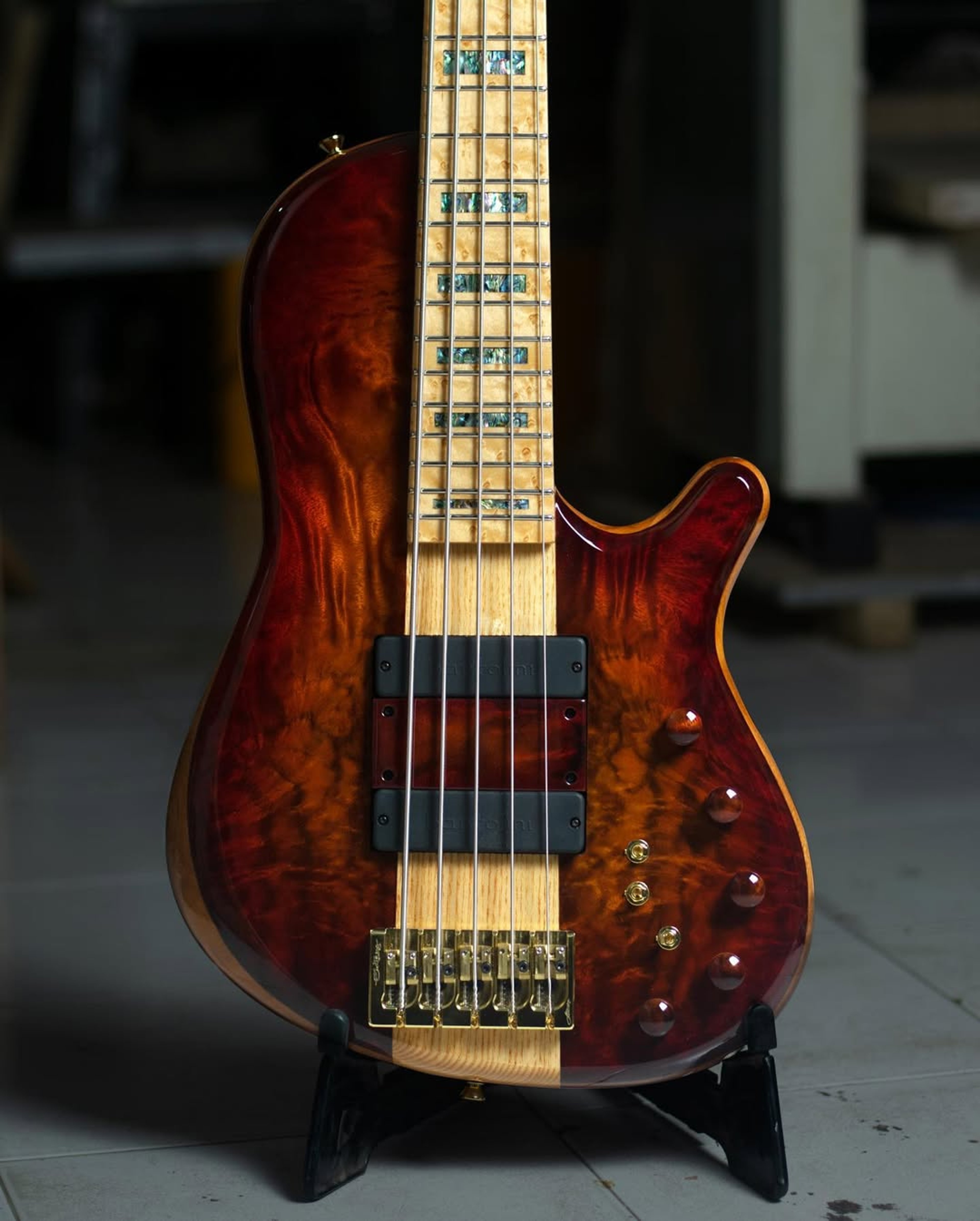 Front body view of the ODIENG Nebula 5 string bass