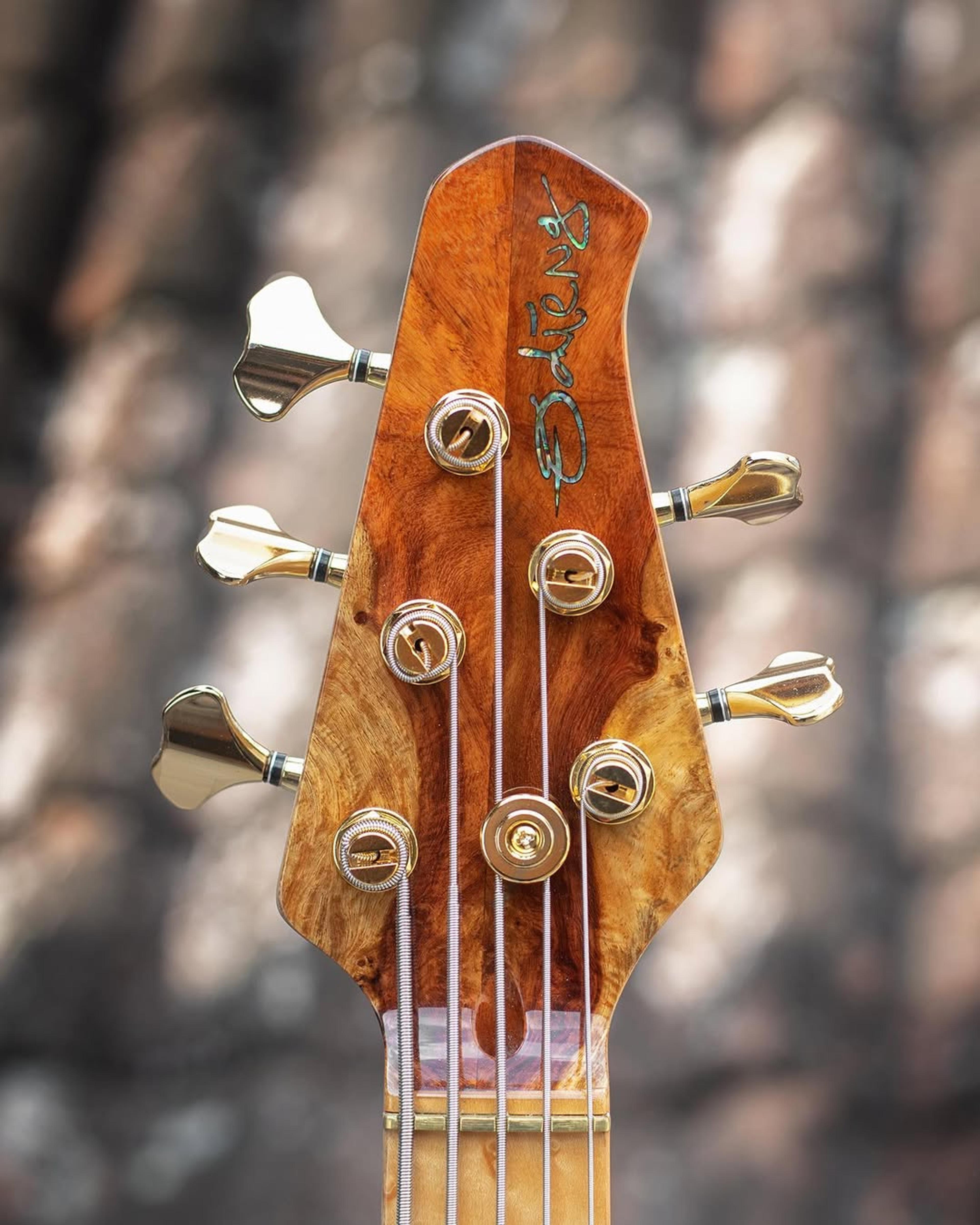 Front Headstock view of the ODIENG Nebula 5 string bass