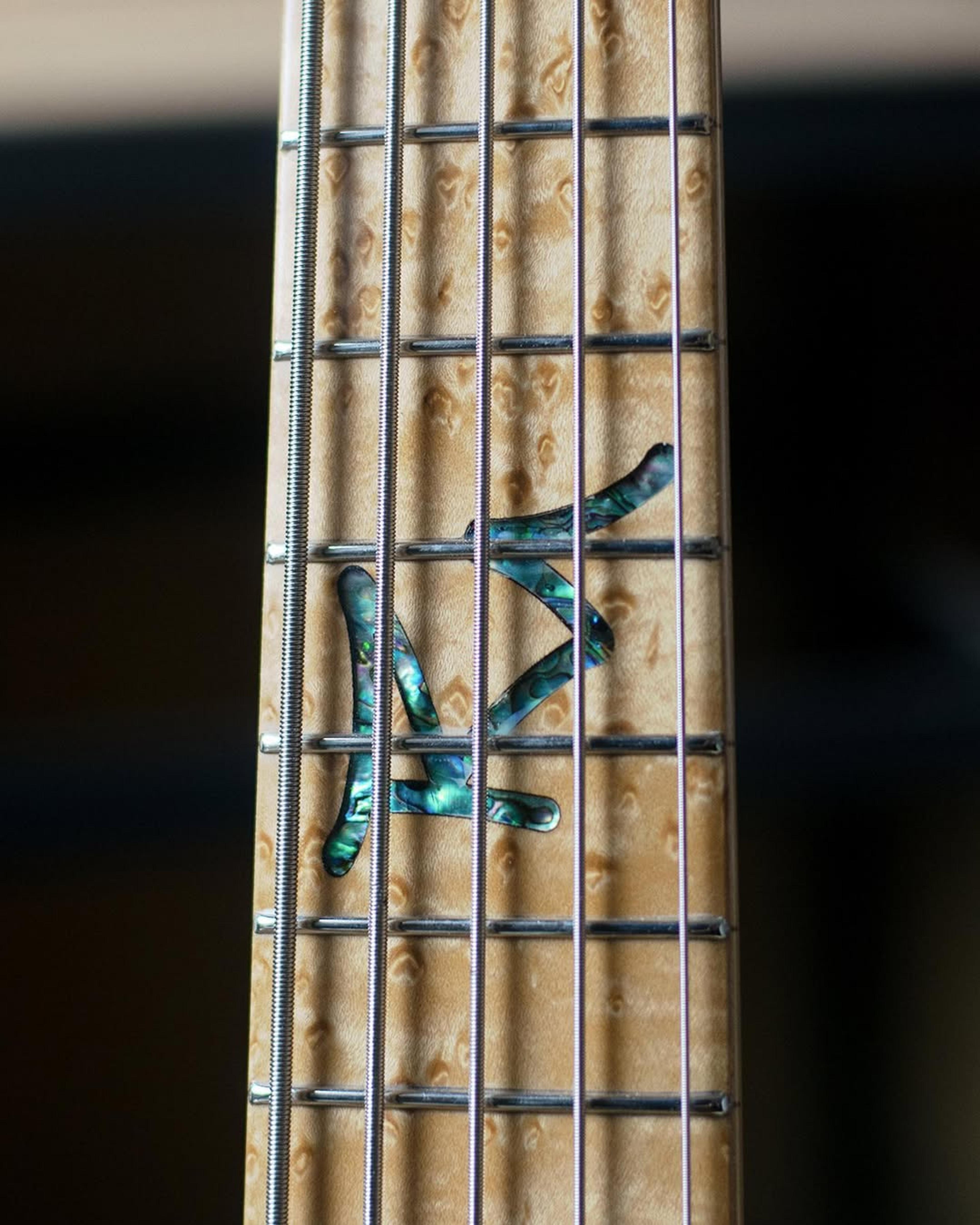 Front detail fretboard view of the ODIENG Viper 5 string bass