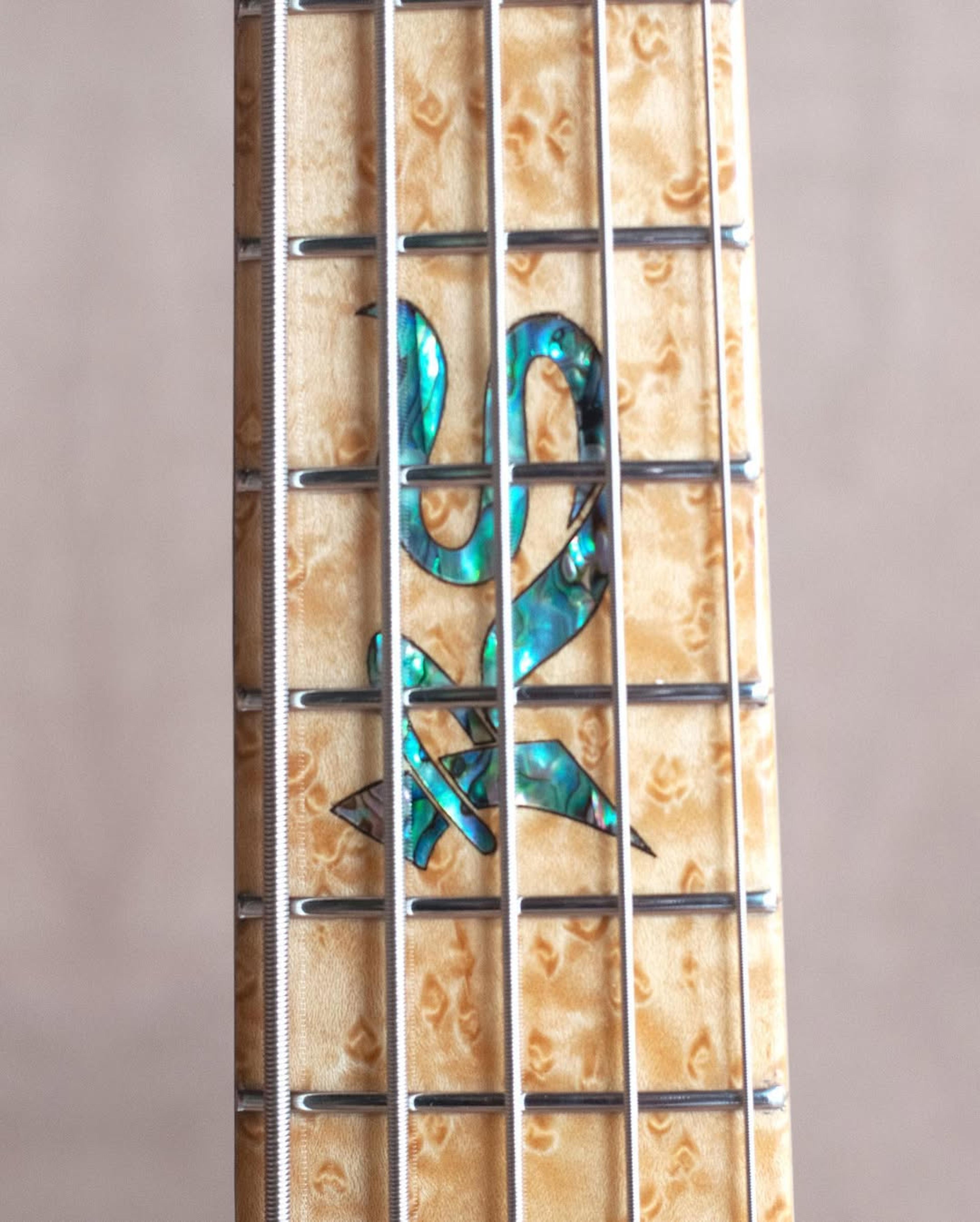 Front detail fretboard view of the ODIENG RS Series 5 string bass