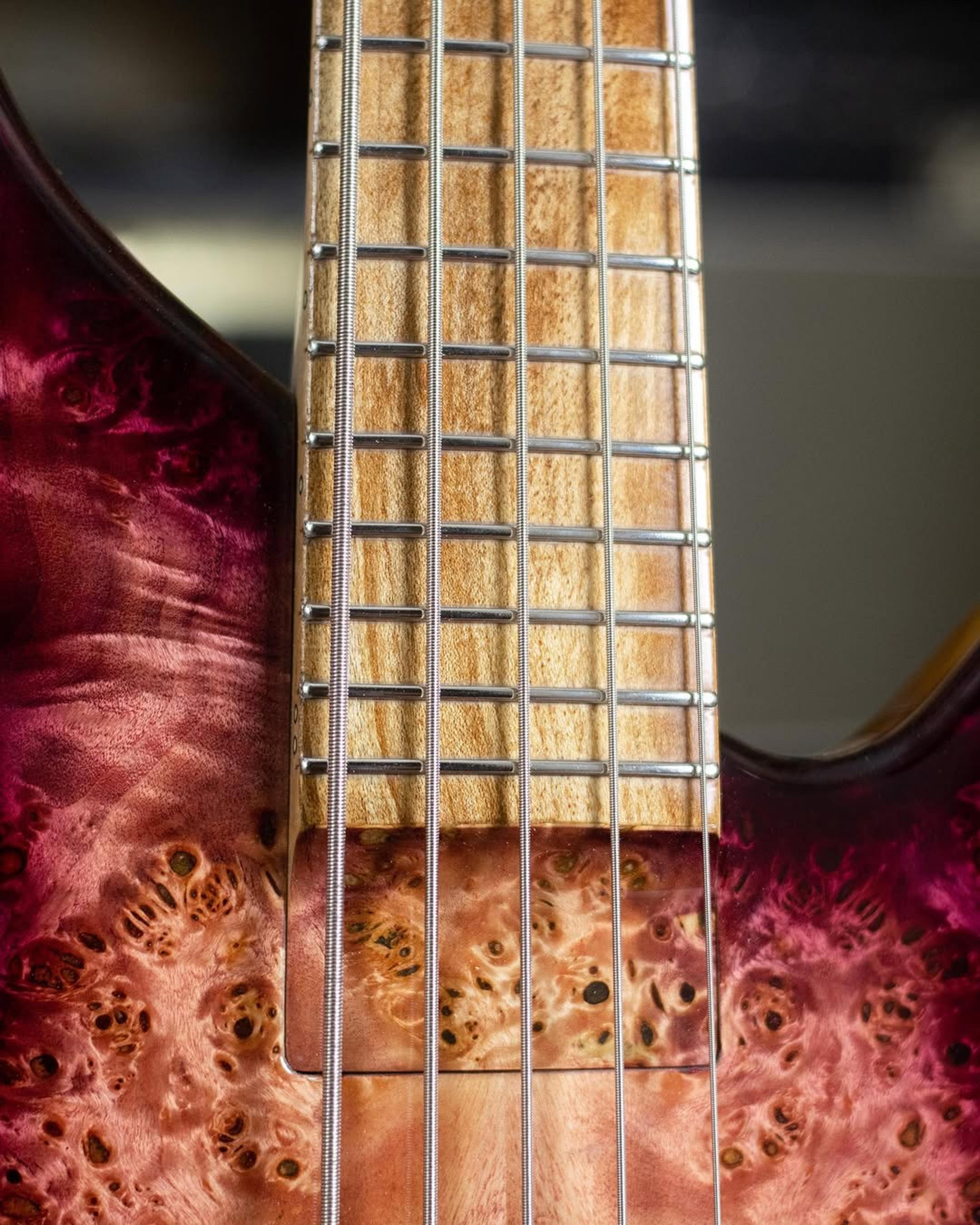 Front detail fretboard view of the ODIENG Viper 5 string bass