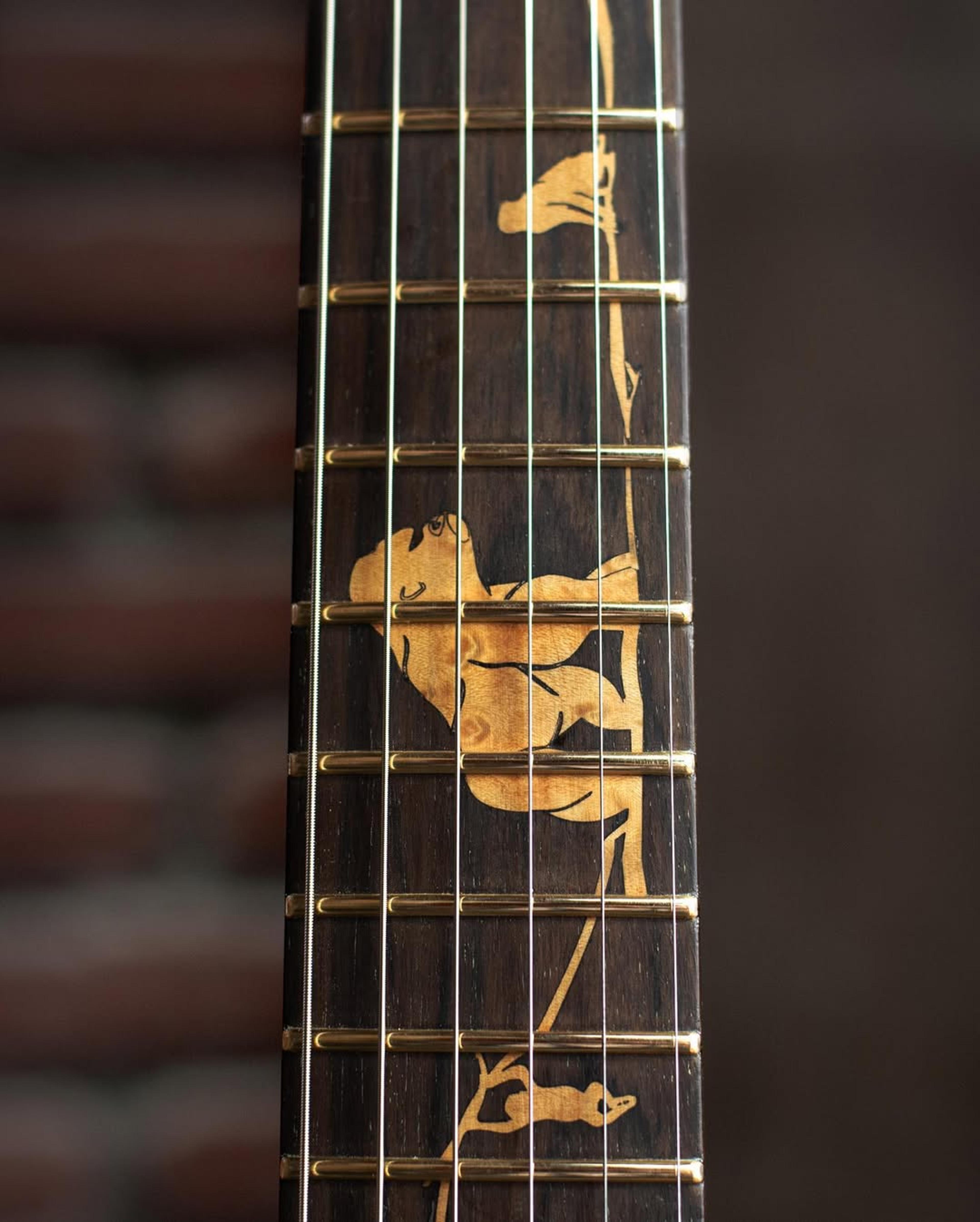 Front detail fretboard view of the ODIENG NB Series 6 string Guitar