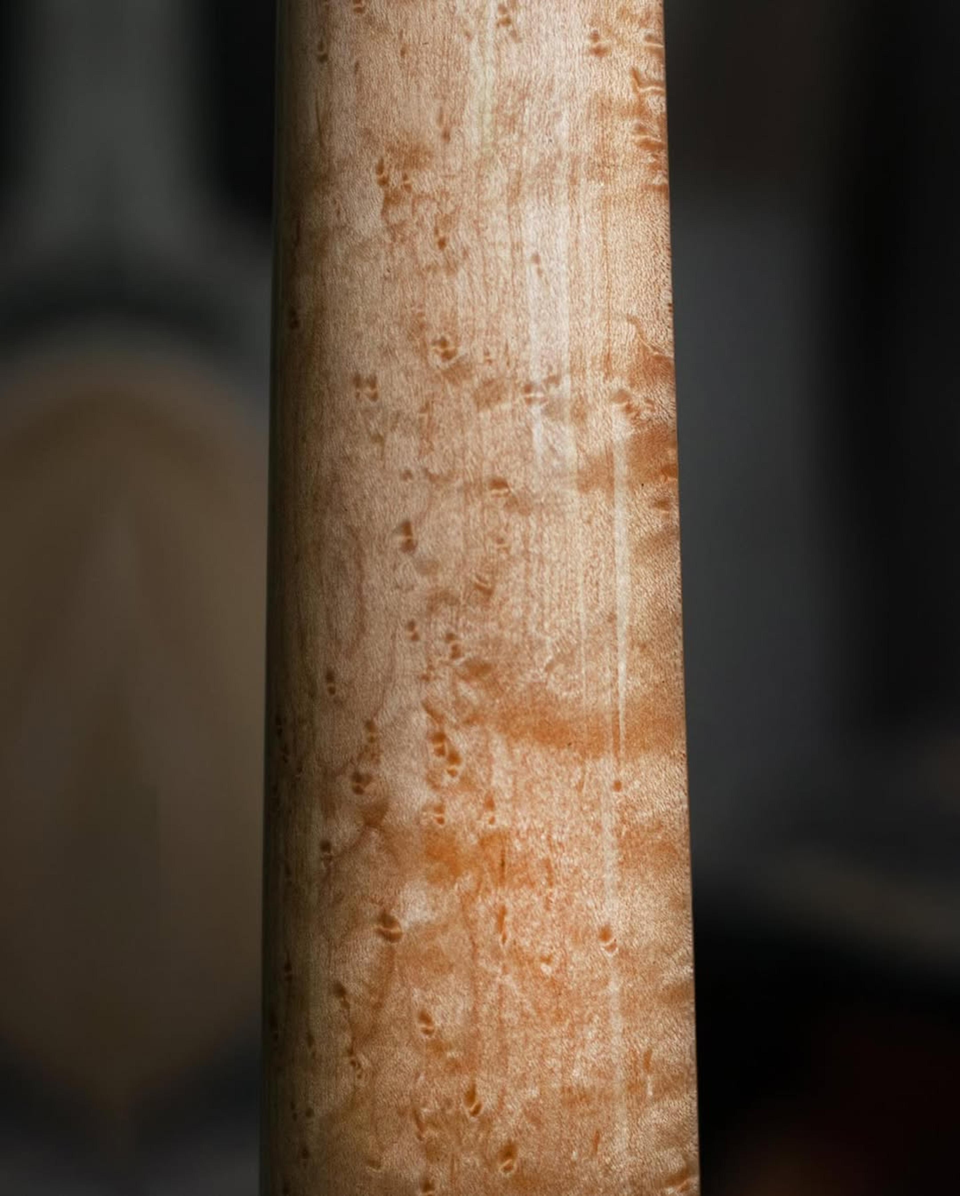 Back neck detail view of the ODIENG Viper 5 string bass