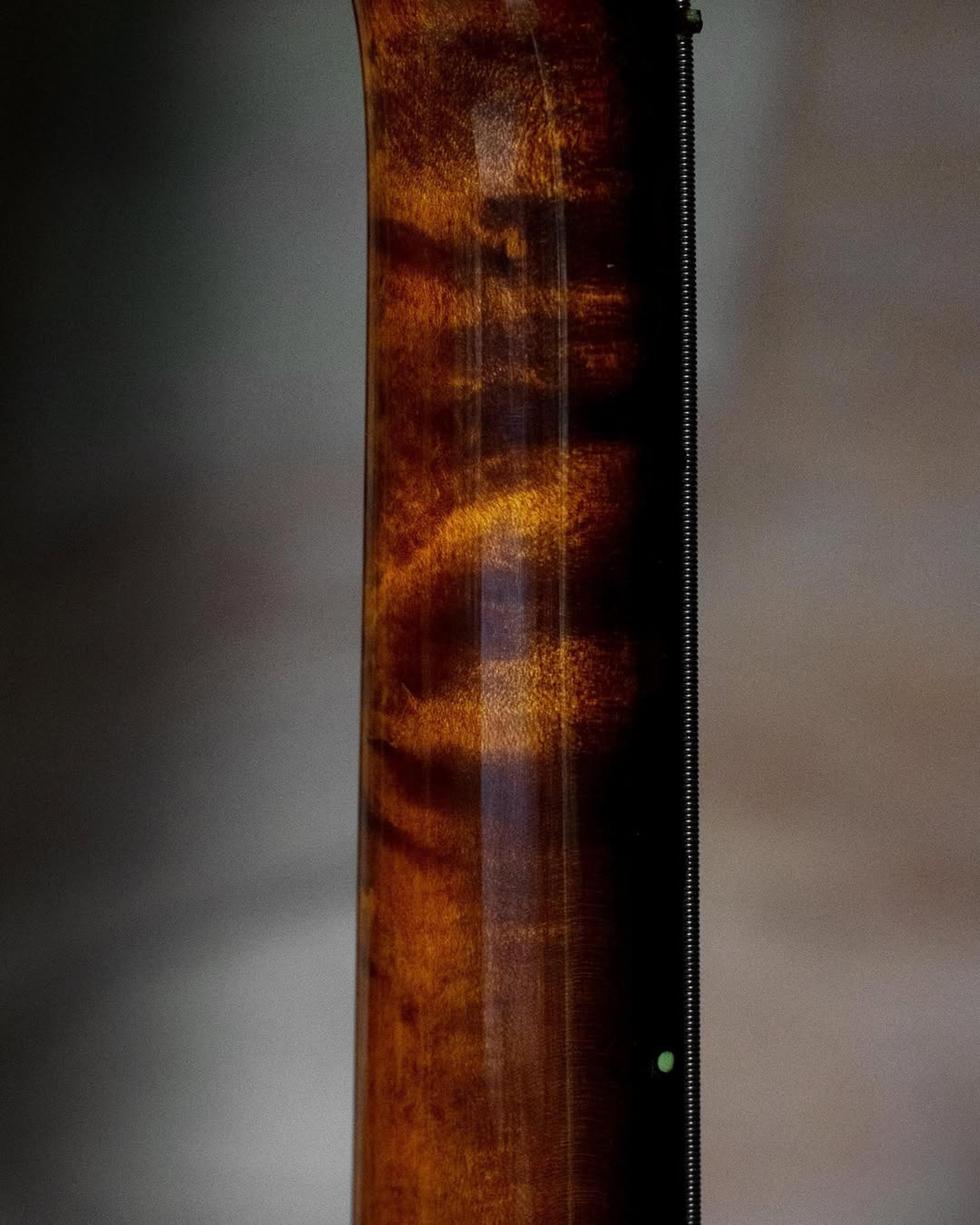 Back Neck detail view of the ODIENG Nebula 5 string bass