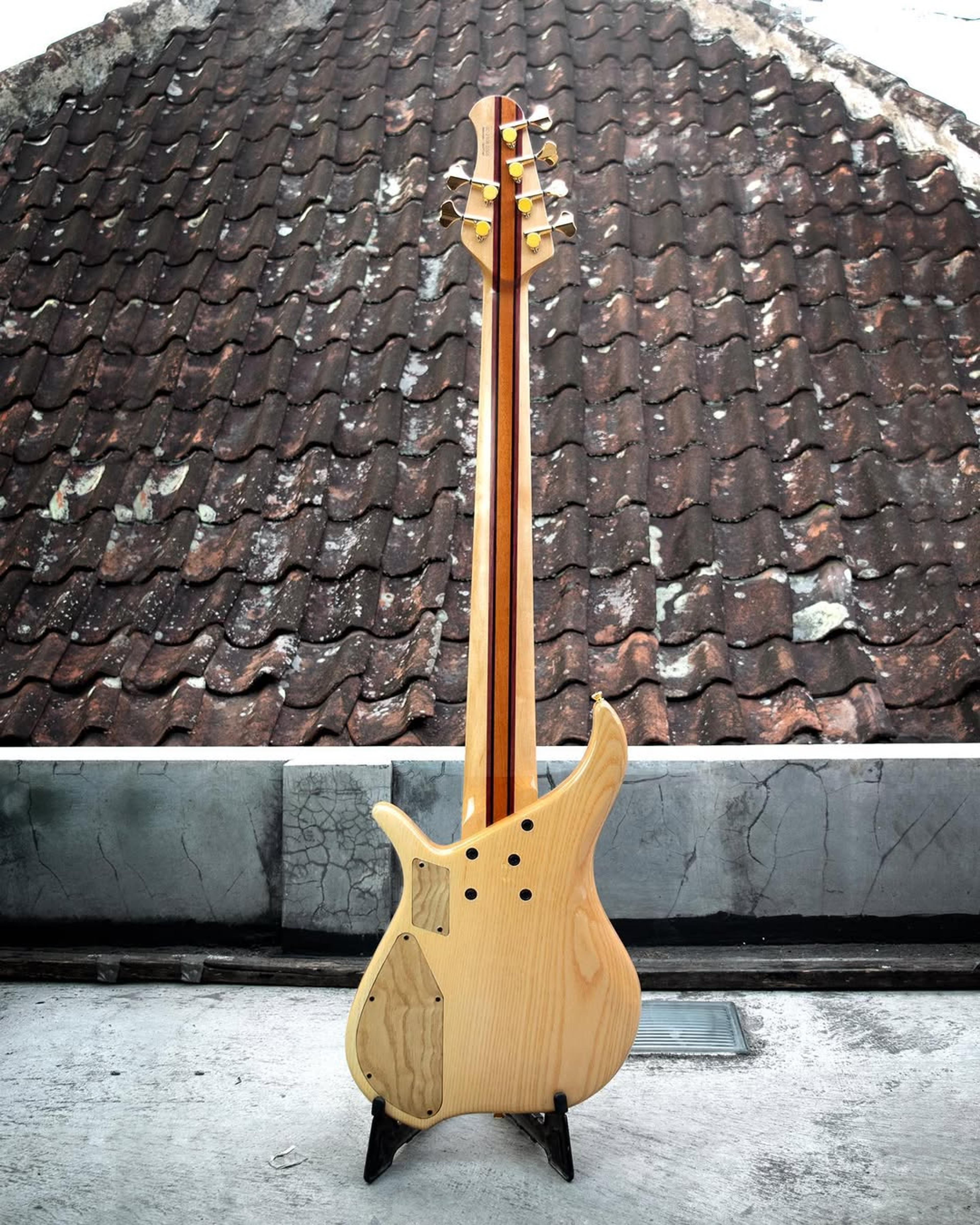 Full Back front view of the ODIENG Viper 6 string bass