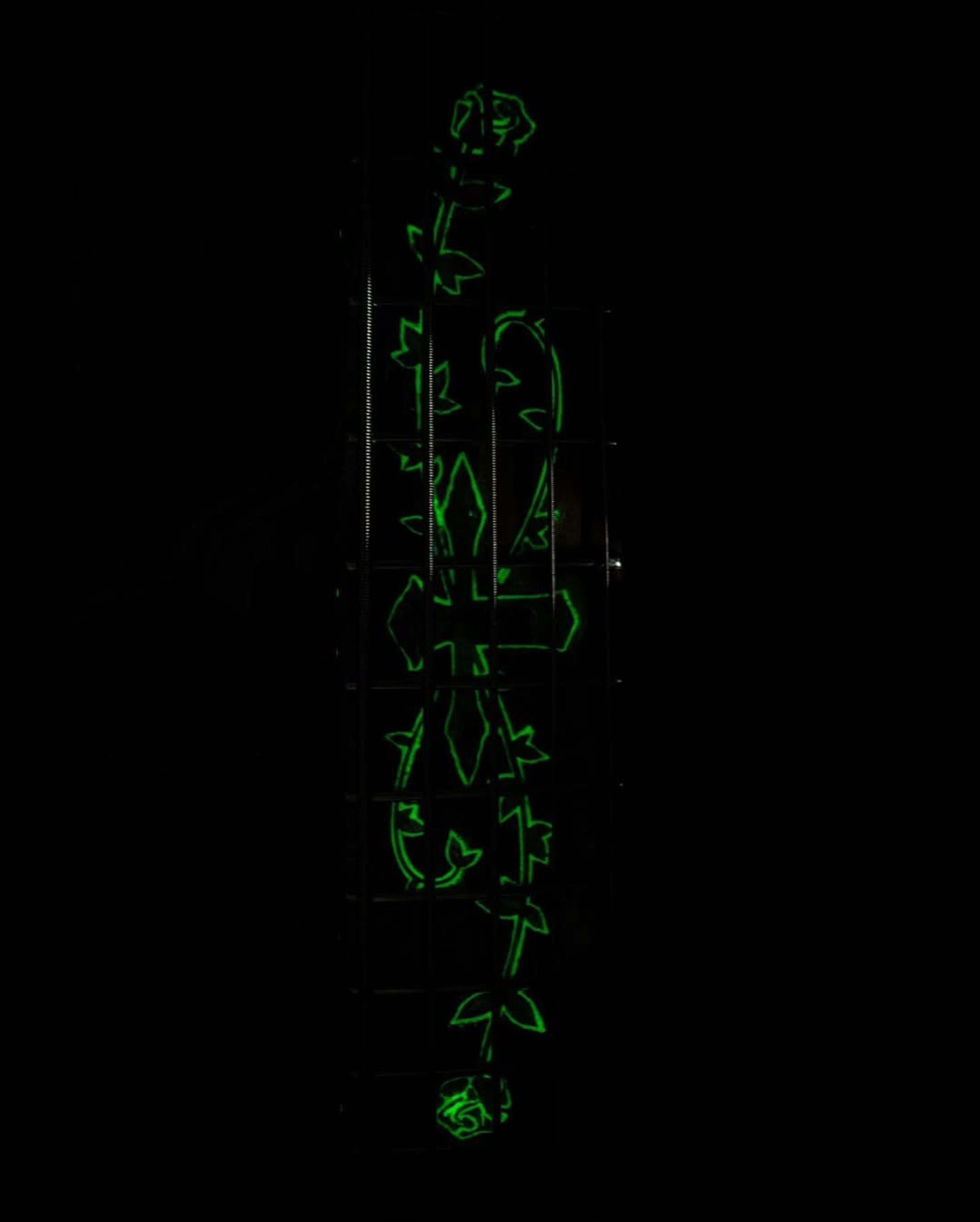 Front detail fretboard Luminlay view of the ODIENG Viper 5 string bass