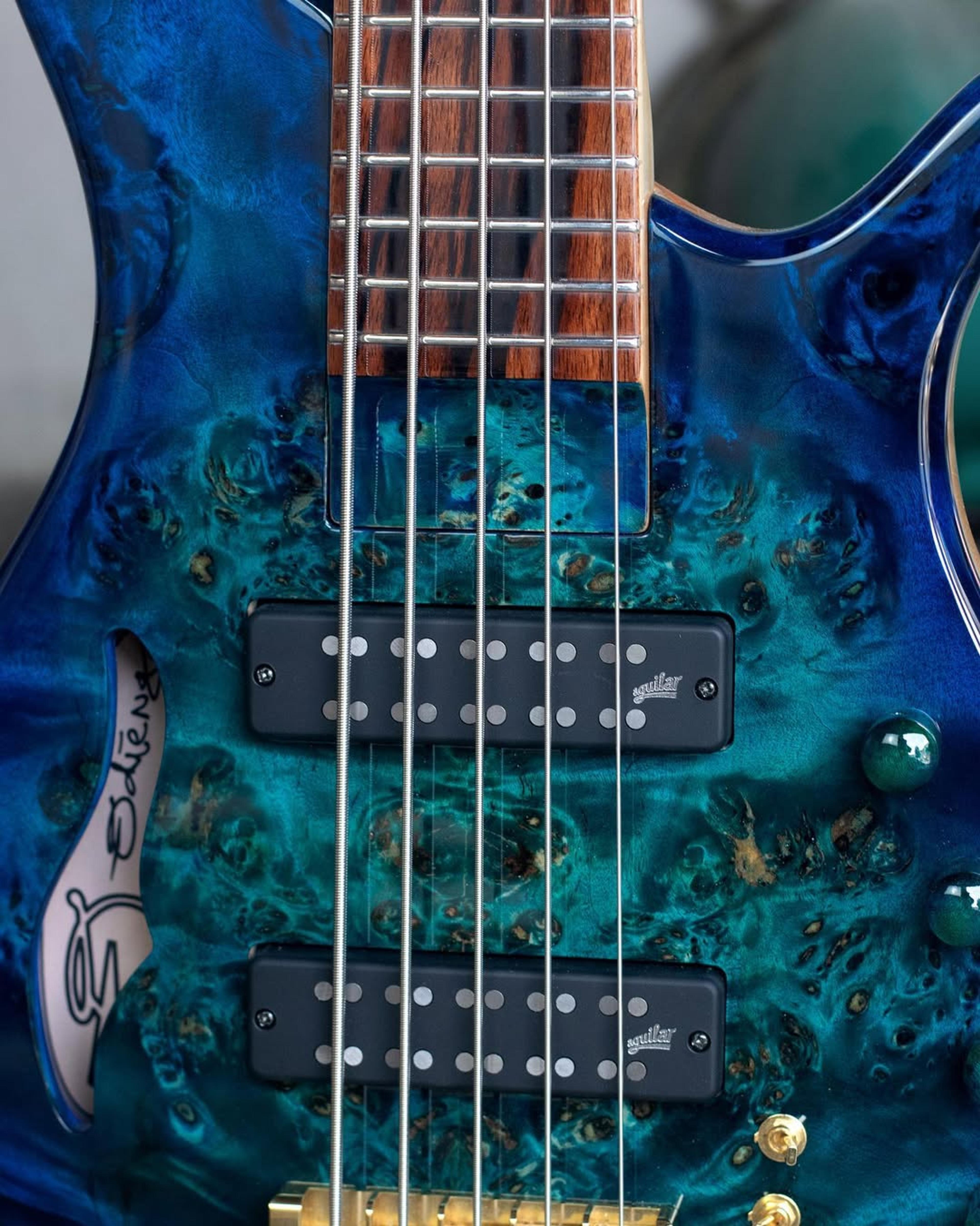 Front detail view of the ODIENG Viper 5 string bass