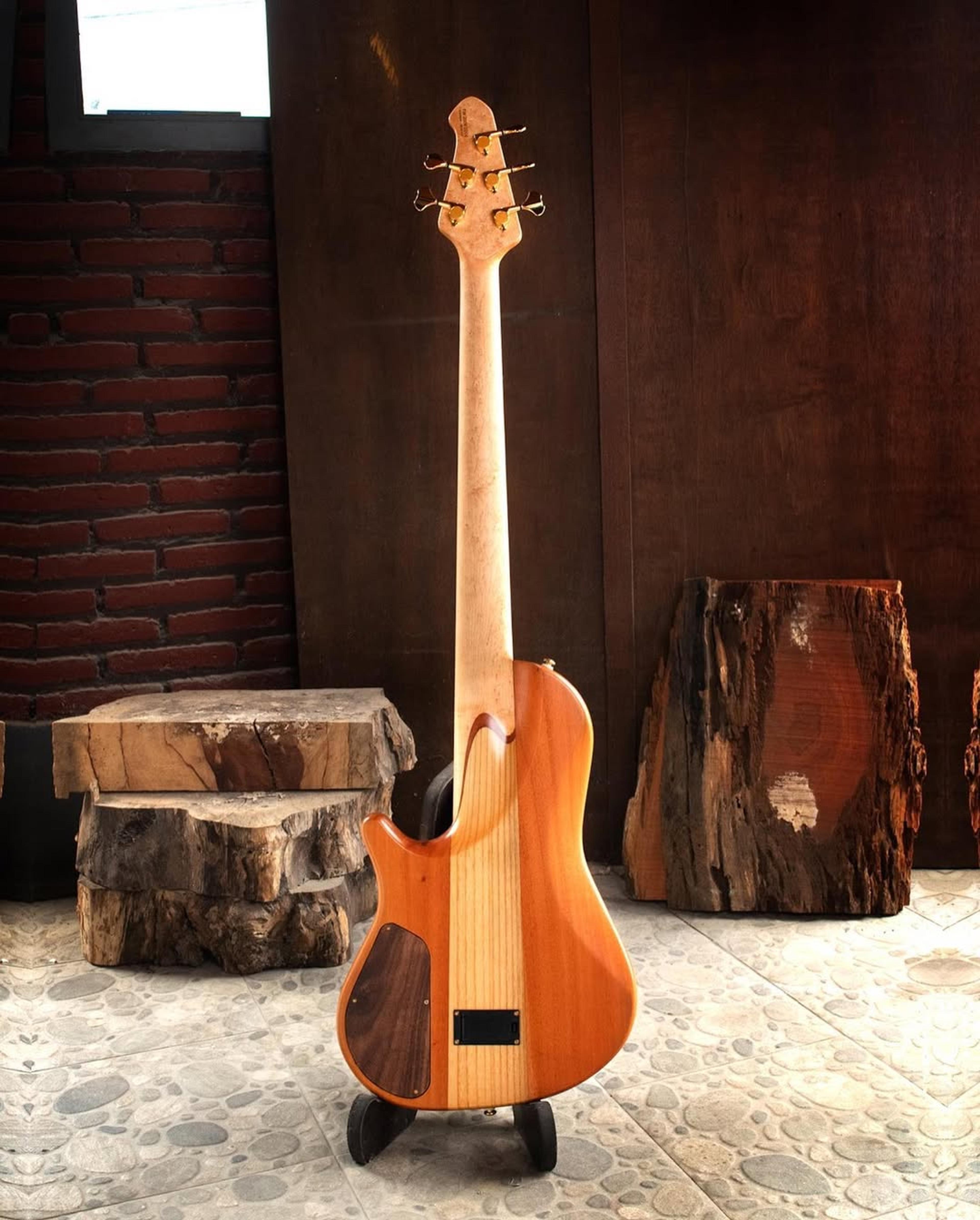 Full Back front view of the ODIENG Nebula 5 string bass