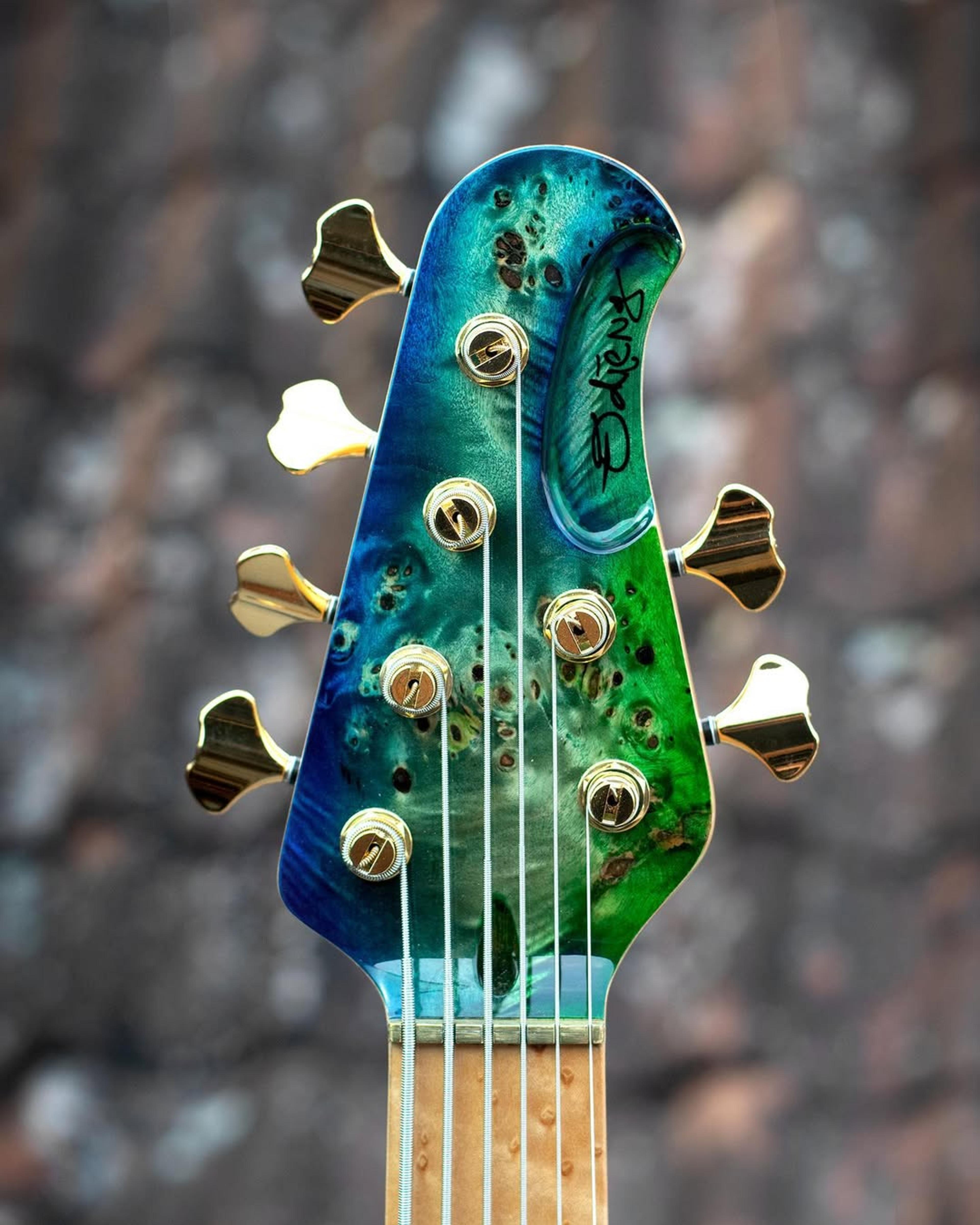 Front Headstock view of the ODIENG Viper 6 string bass
