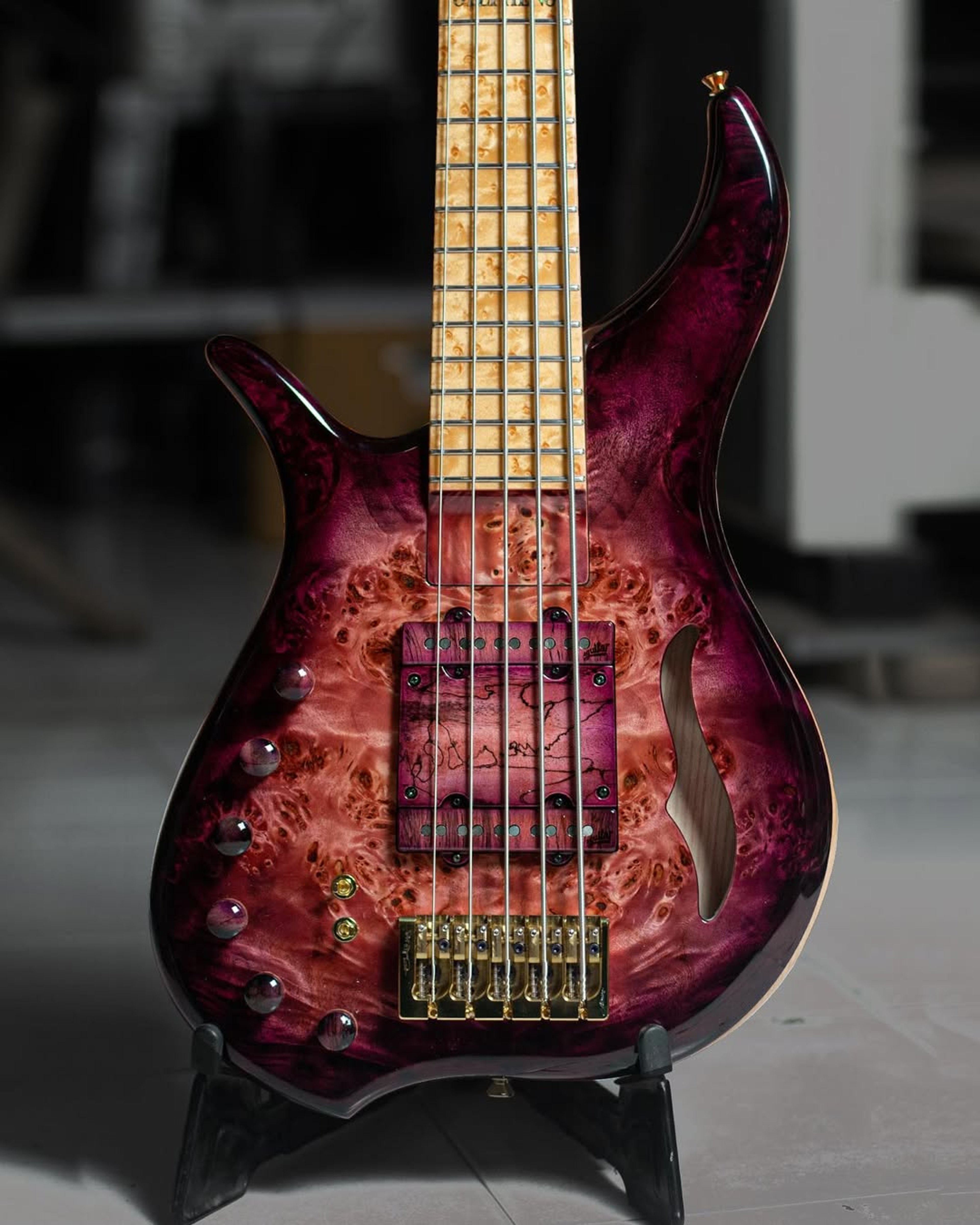 Front body view of the ODIENG Viper 5 string bass