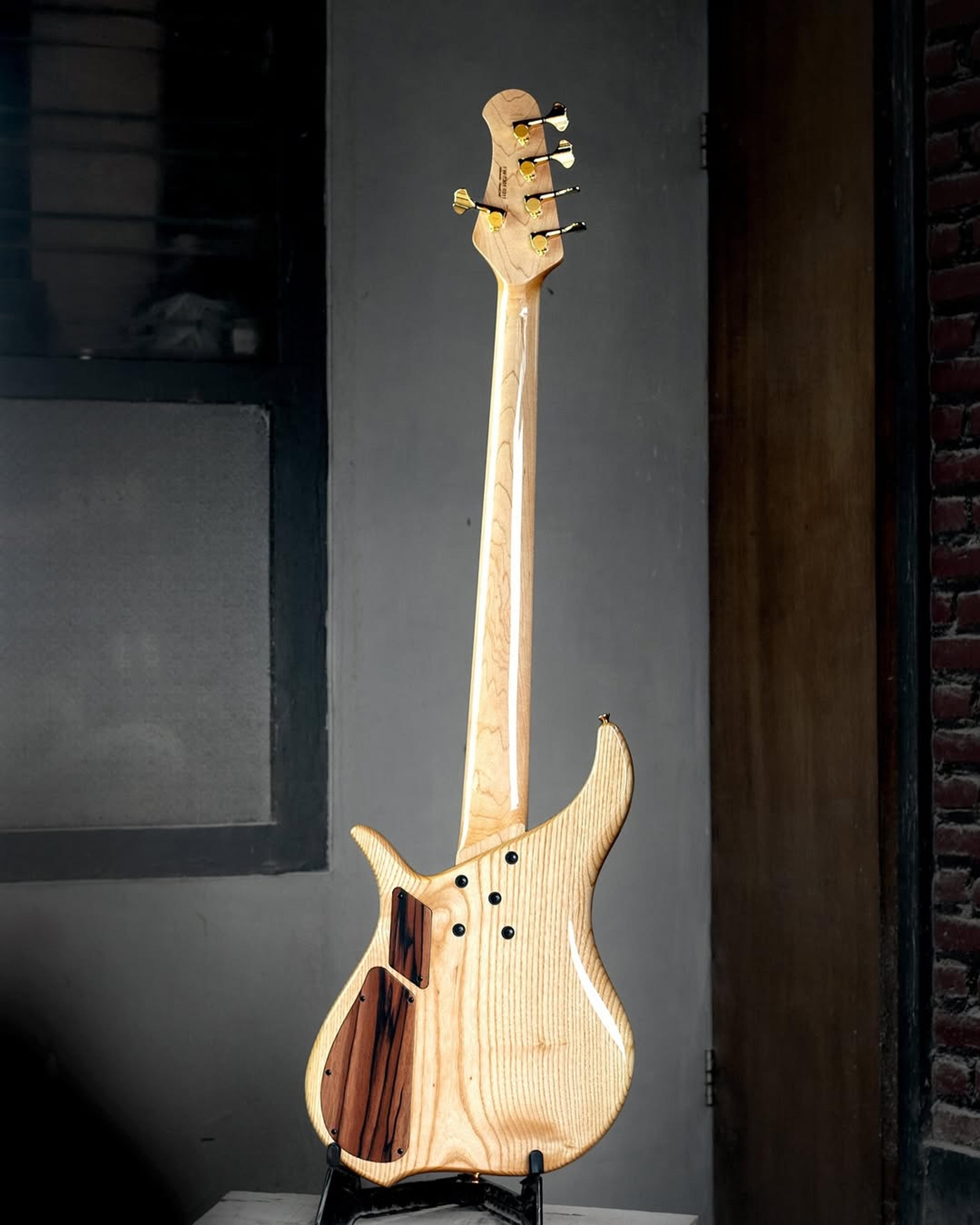 Full Back front view of the ODIENG Viper 5 string bass