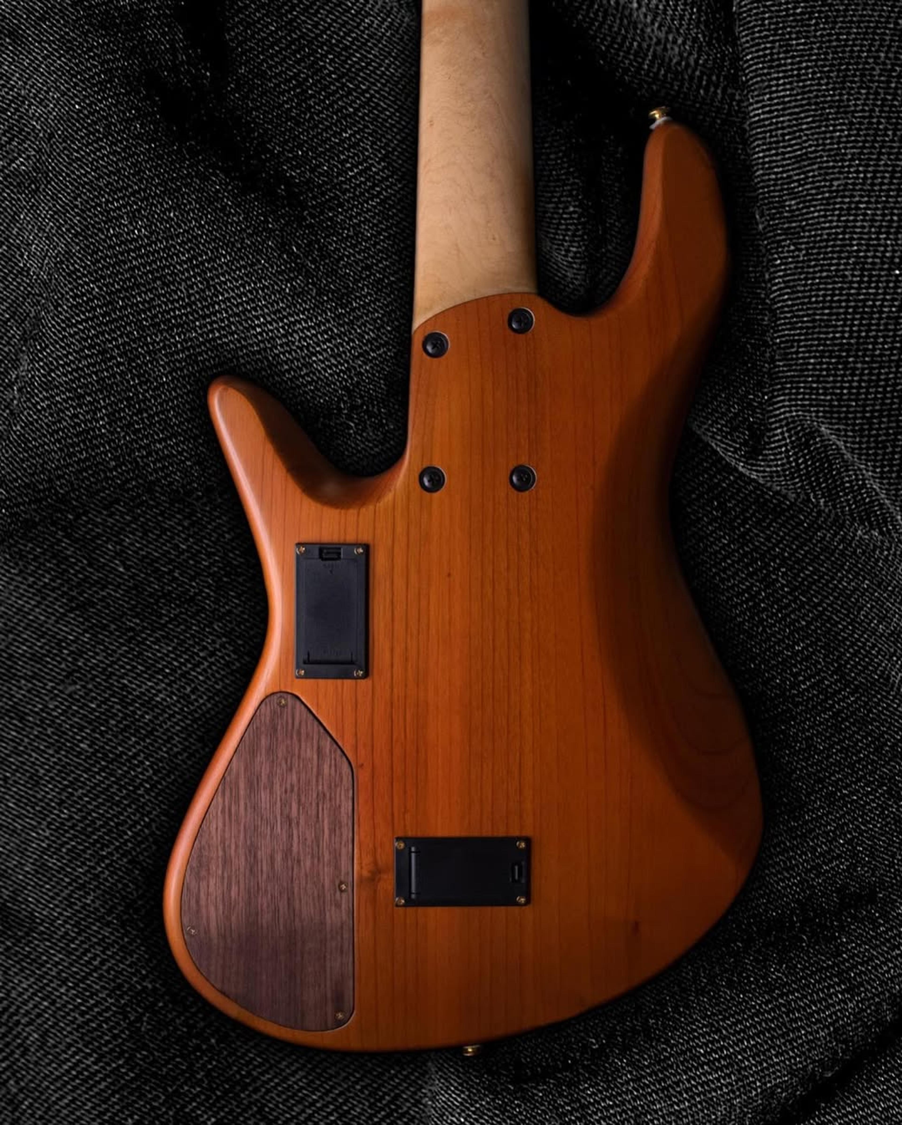 Back body view of the ODIENG Series Corvette 5 string bass