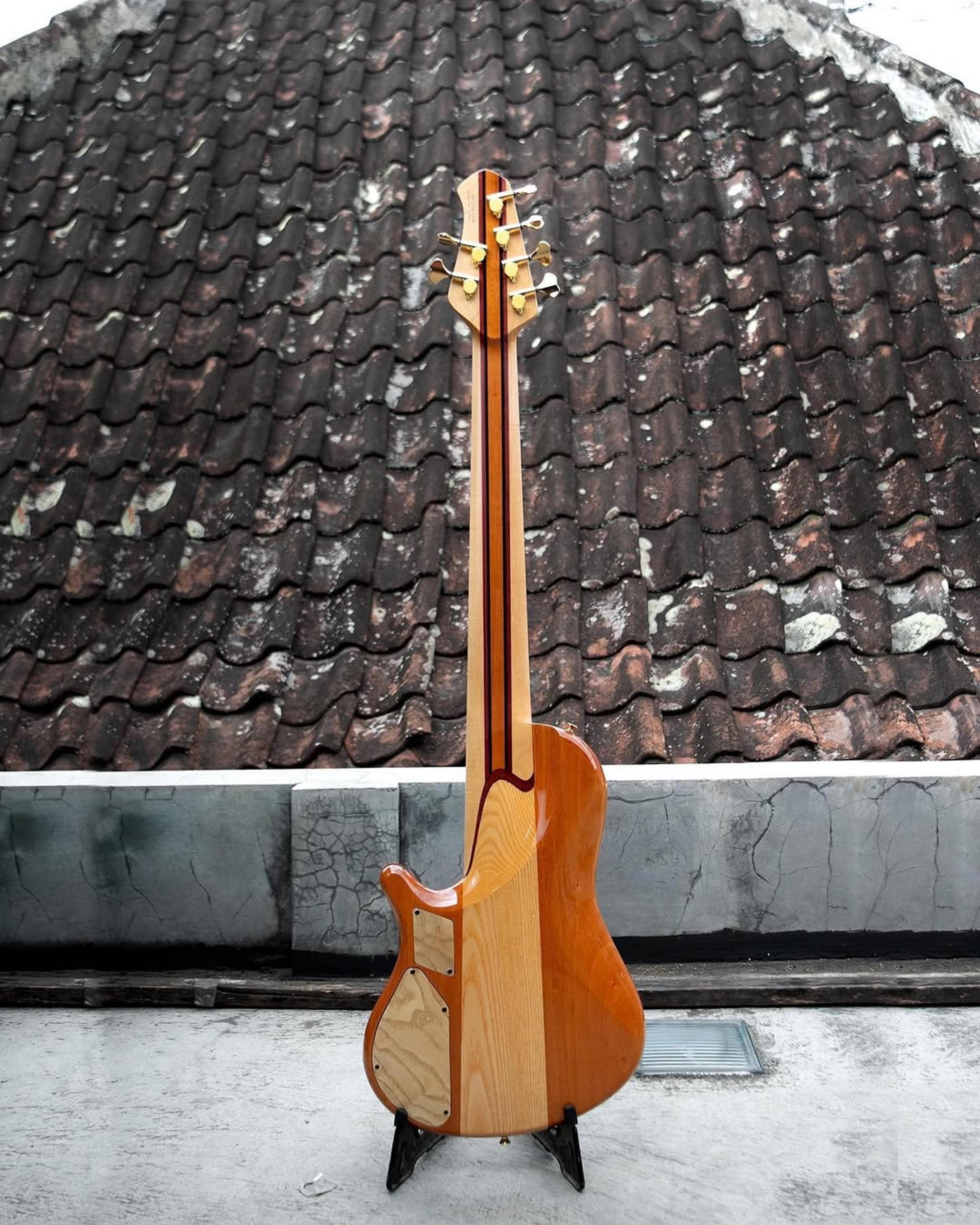 Full Back front view of the ODIENG Nebula 6 string bass