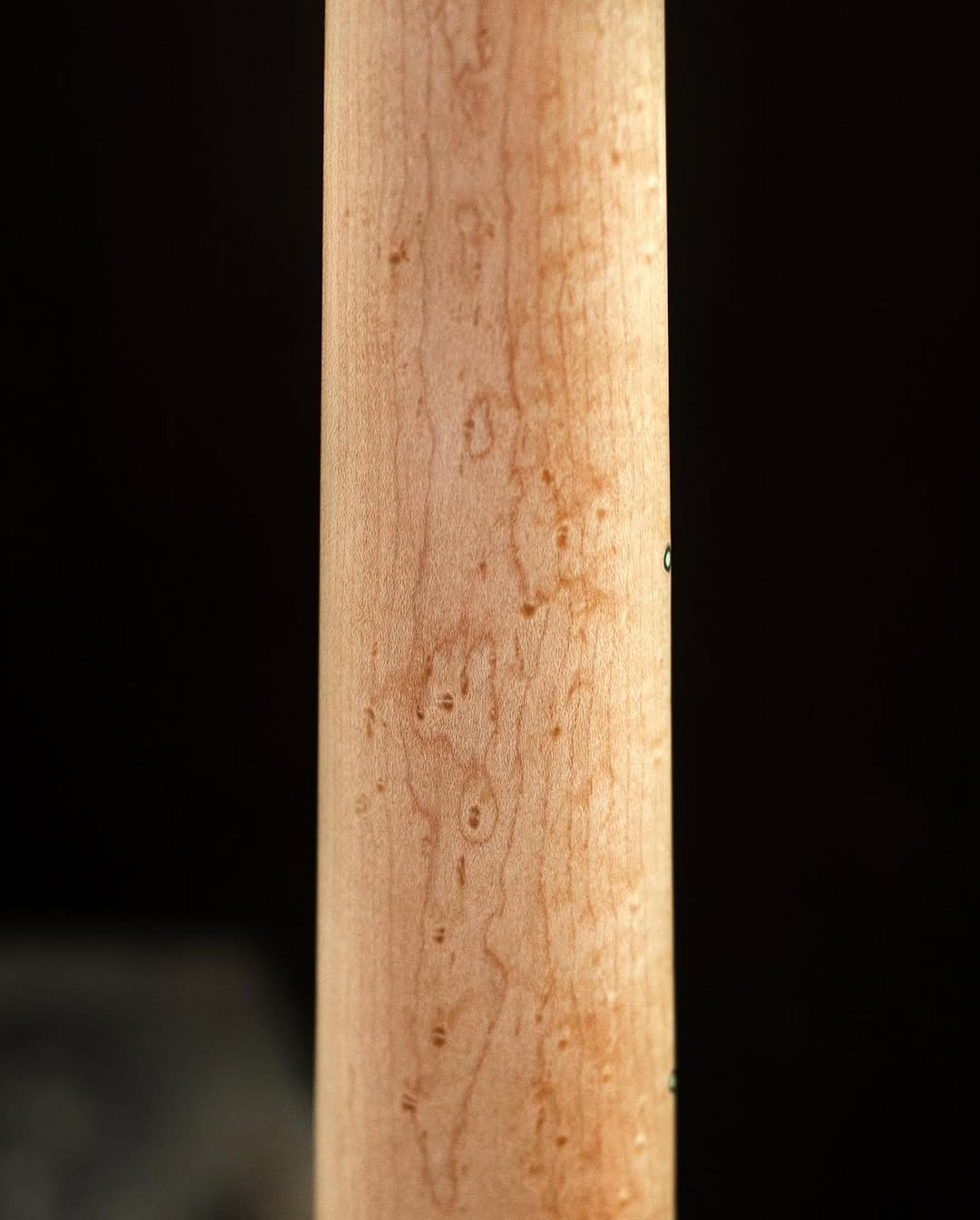 Back neck detail view of the ODIENG Nebula 5 string bass