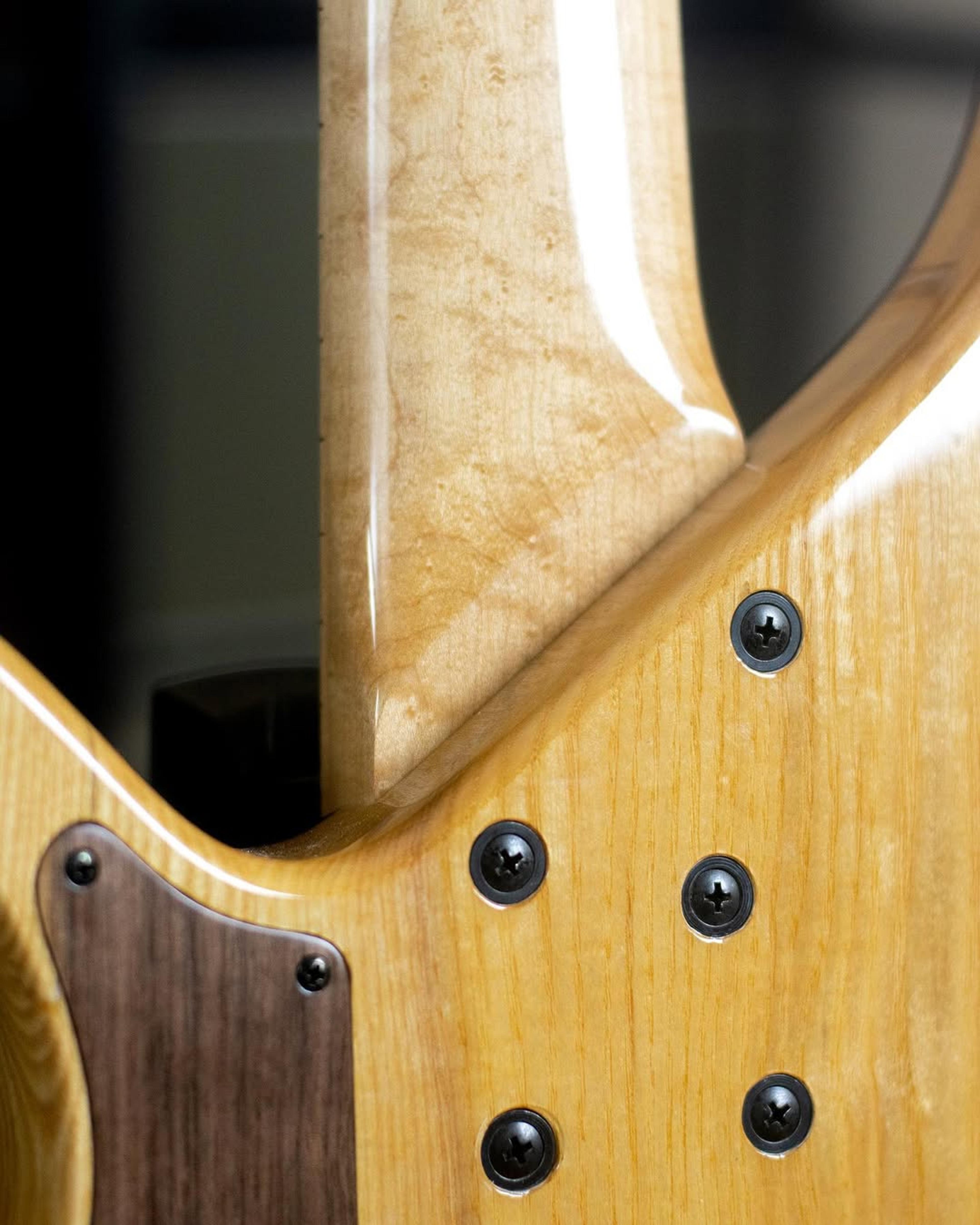 Back body view of the ODIENG Series Viper 5 string bass