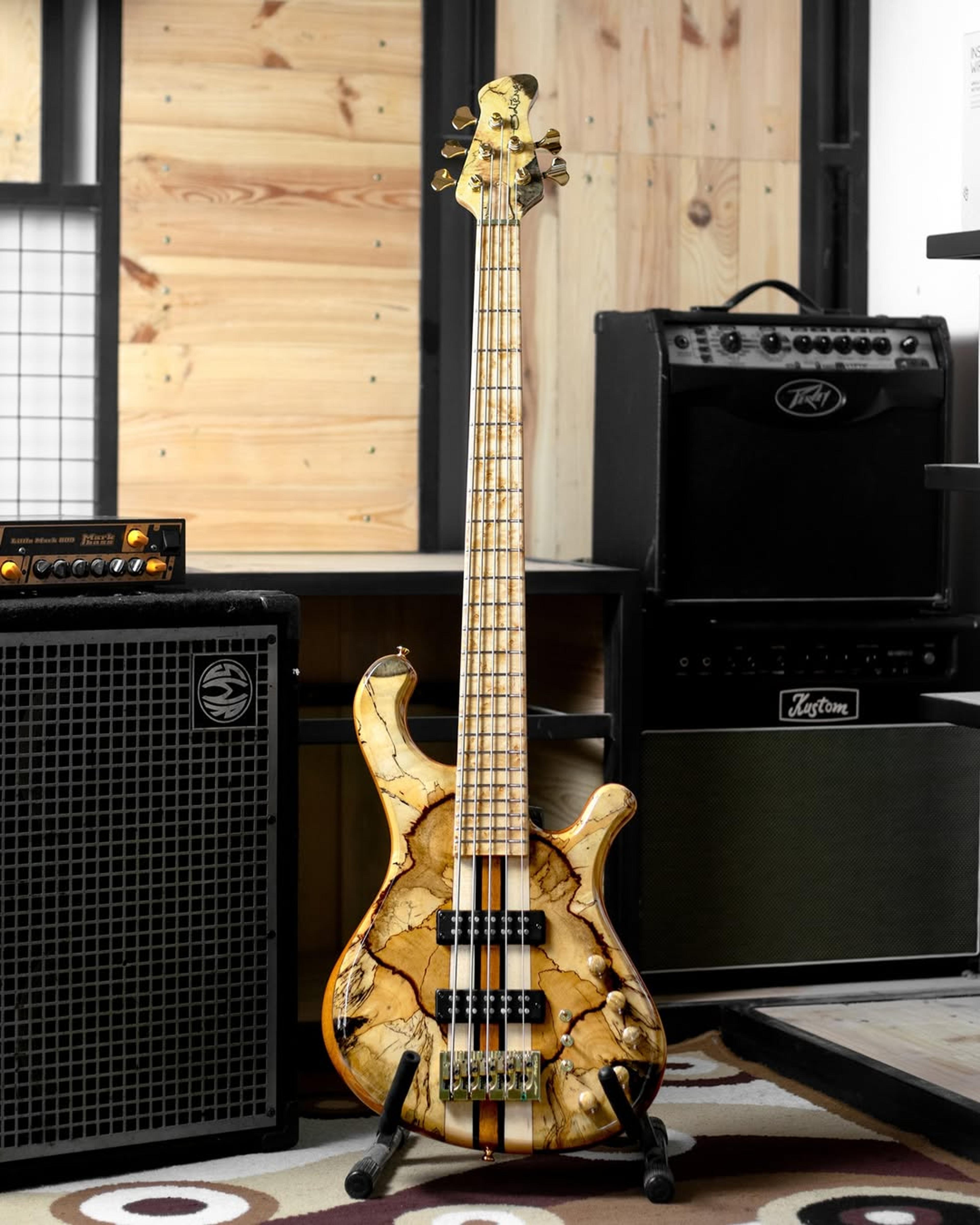 Full front view of the ODIENG RS Series 5 string bass