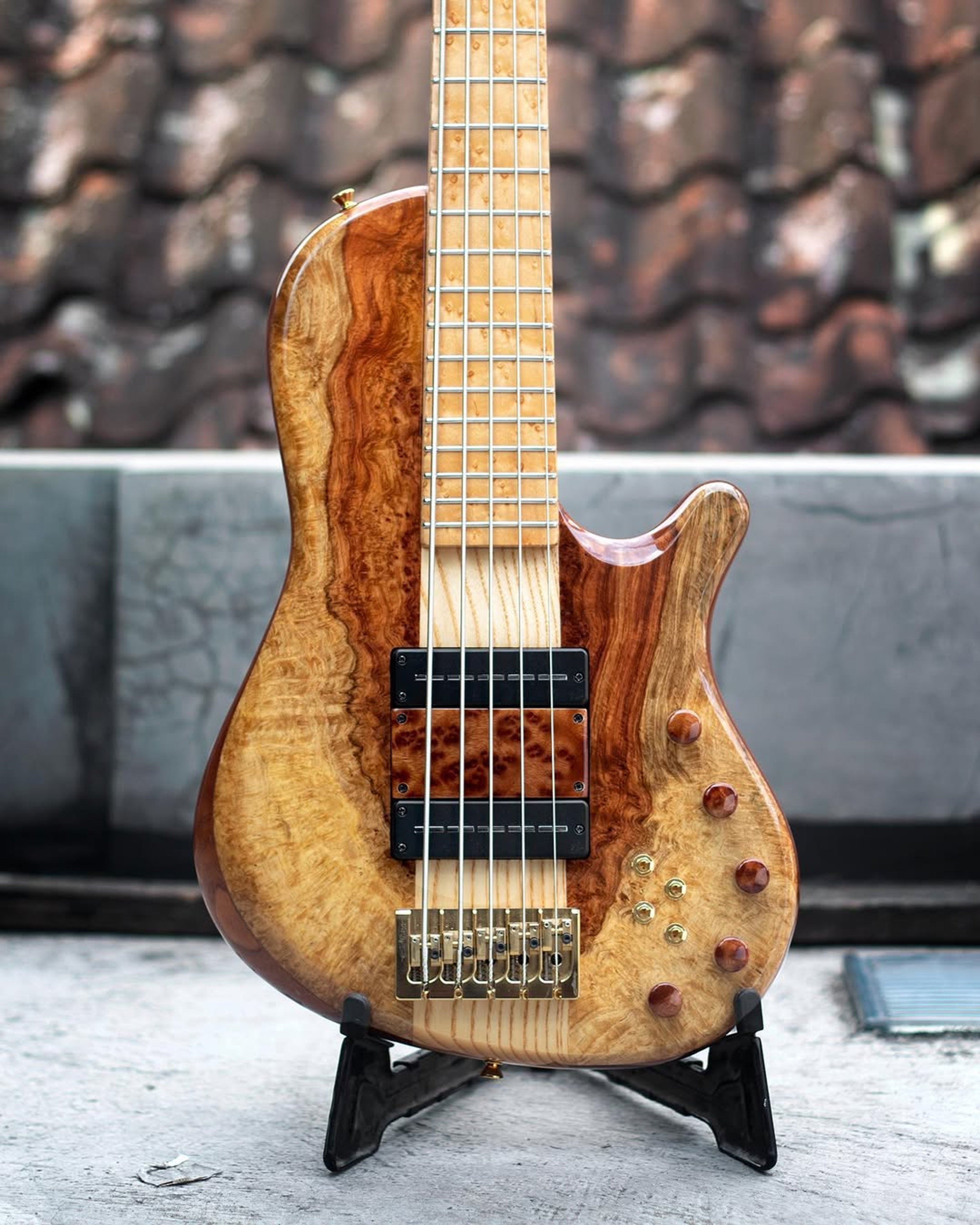 Front body view of the ODIENG Nebula 5 string bass