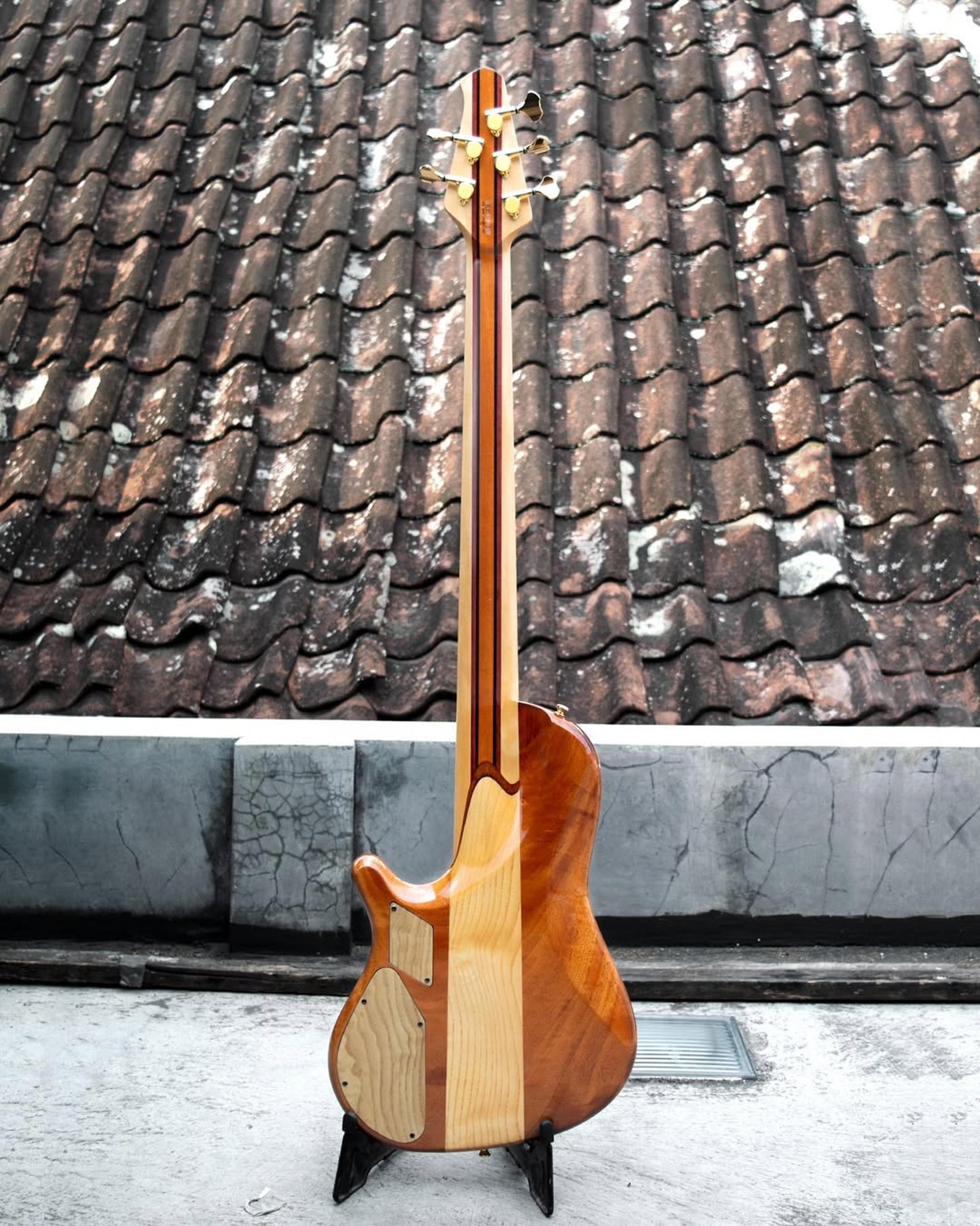 Full Back front view of the ODIENG Nebula 5 string bass