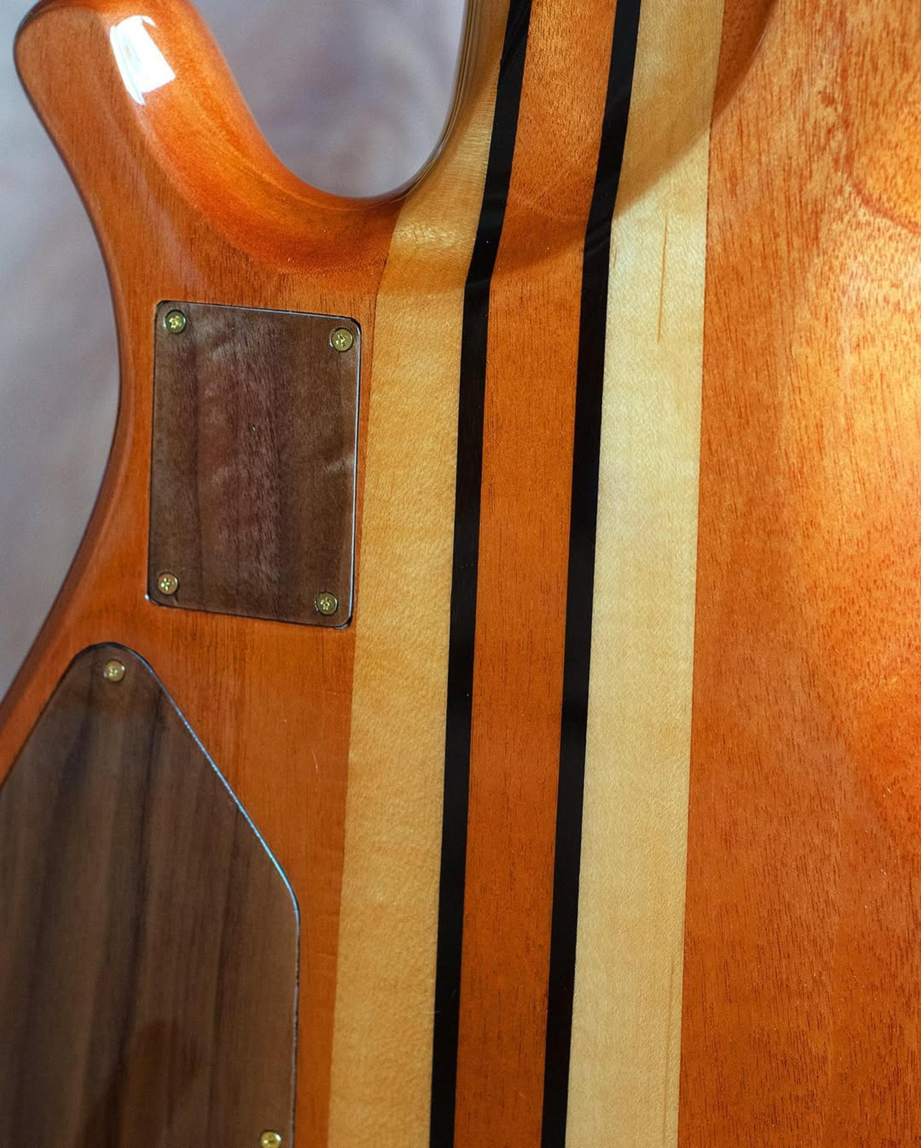 Back Neck detail view of the ODIENG XJB 5 string bass