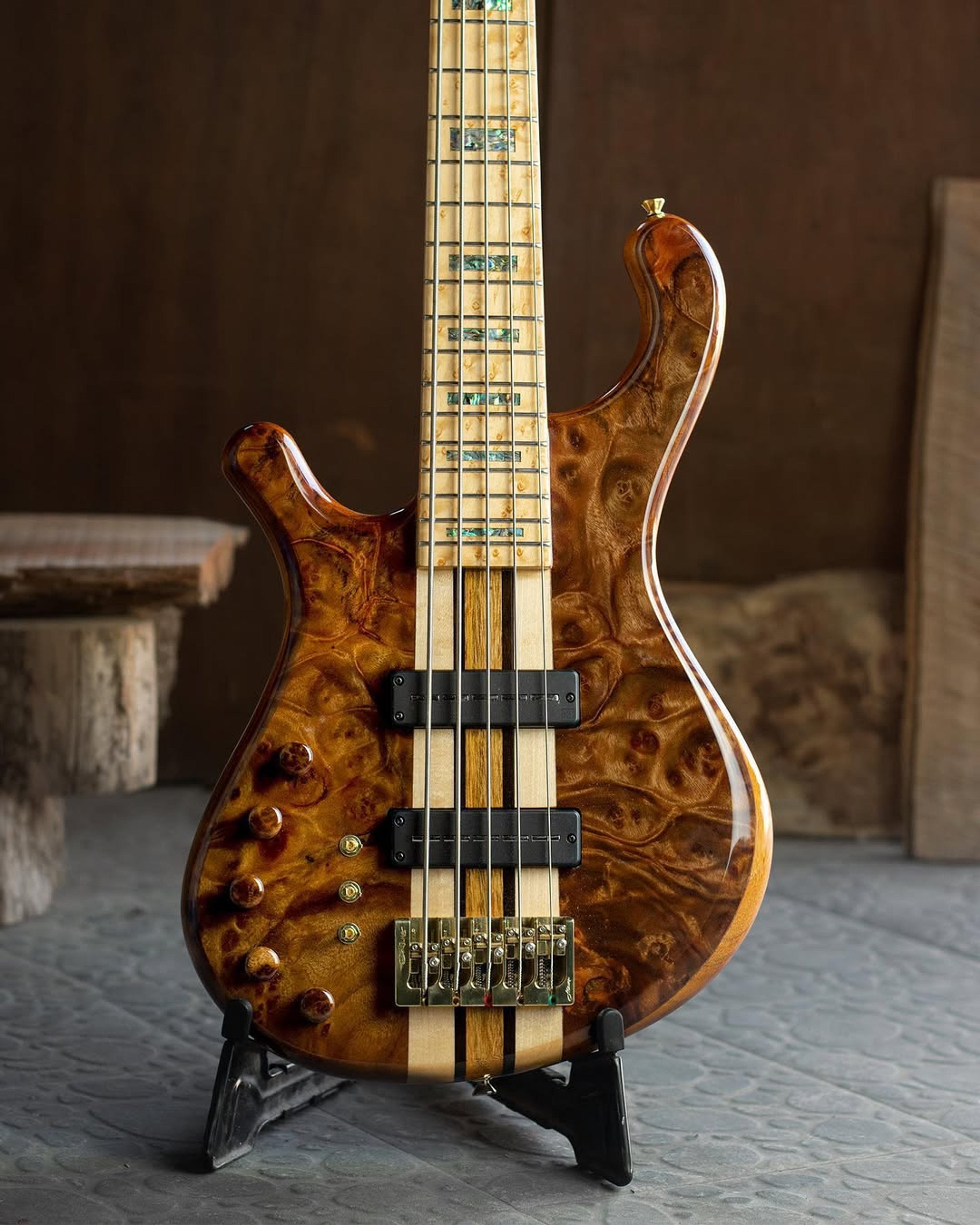 Front body view of the ODIENG RS Series 5 string bass