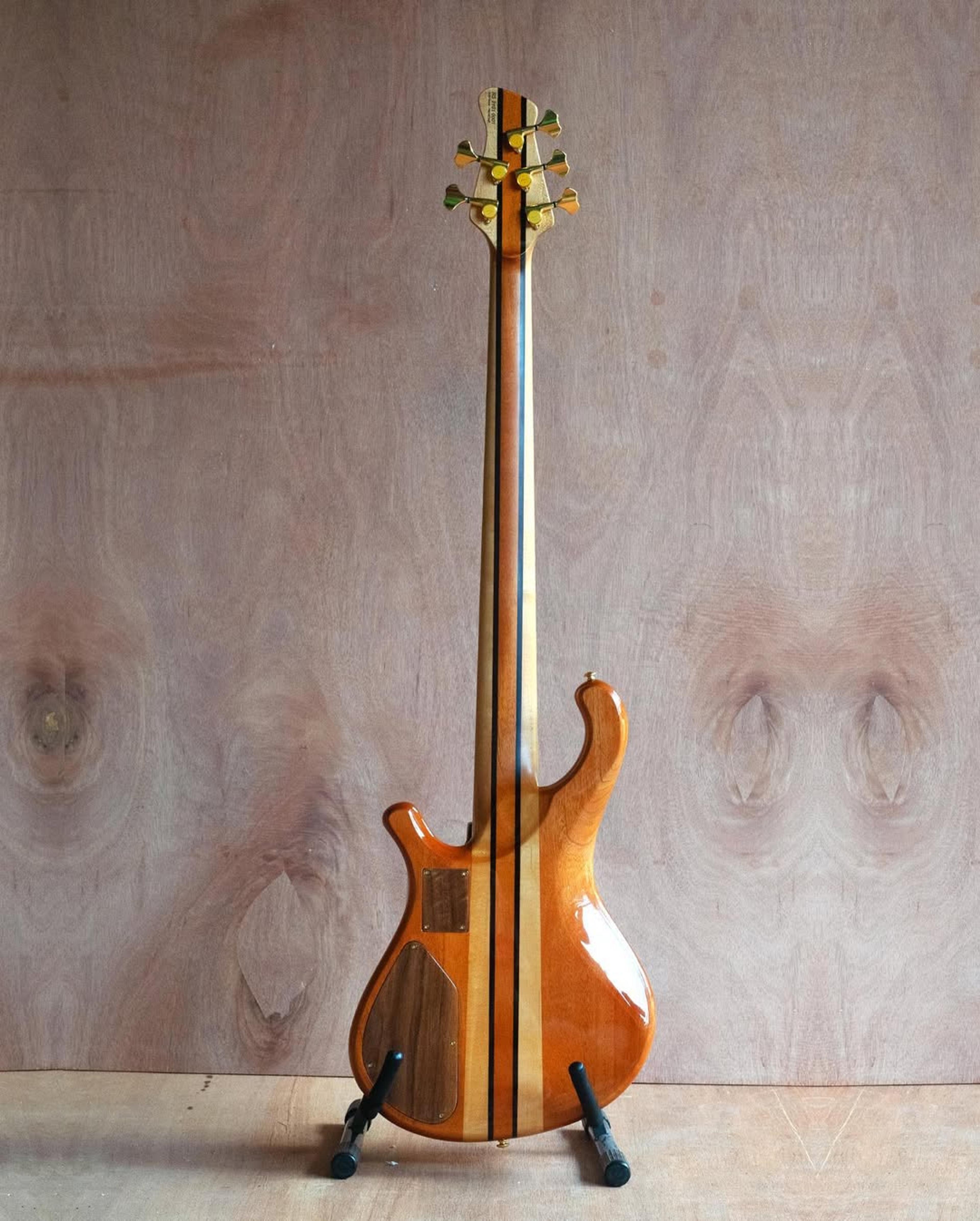 Full Back front view of the ODIENG RS Series 5 string bass