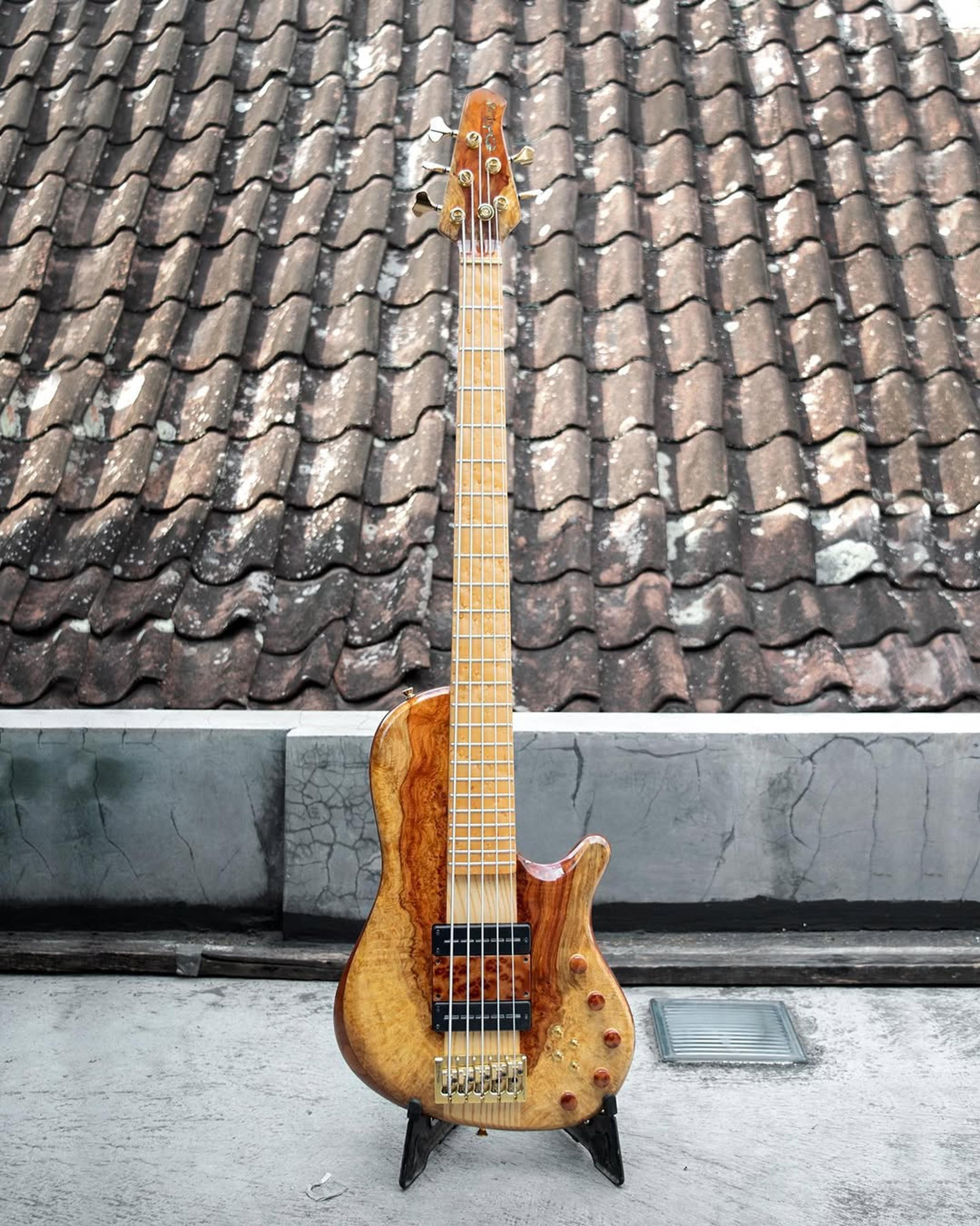 Full front view of the ODIENG Nebula 5 string bass