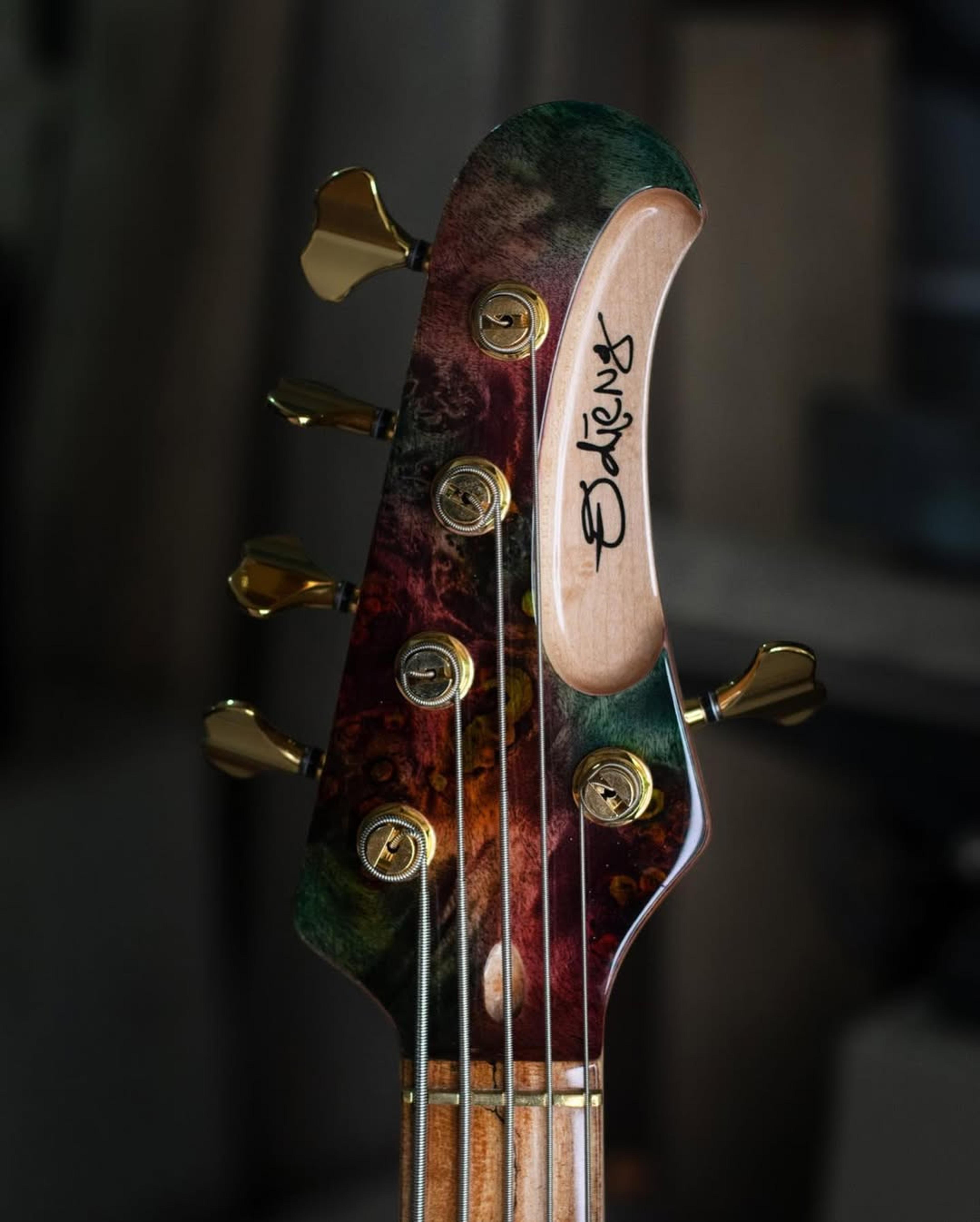 Front Headstock view of the ODIENG Viper 5 string bass
