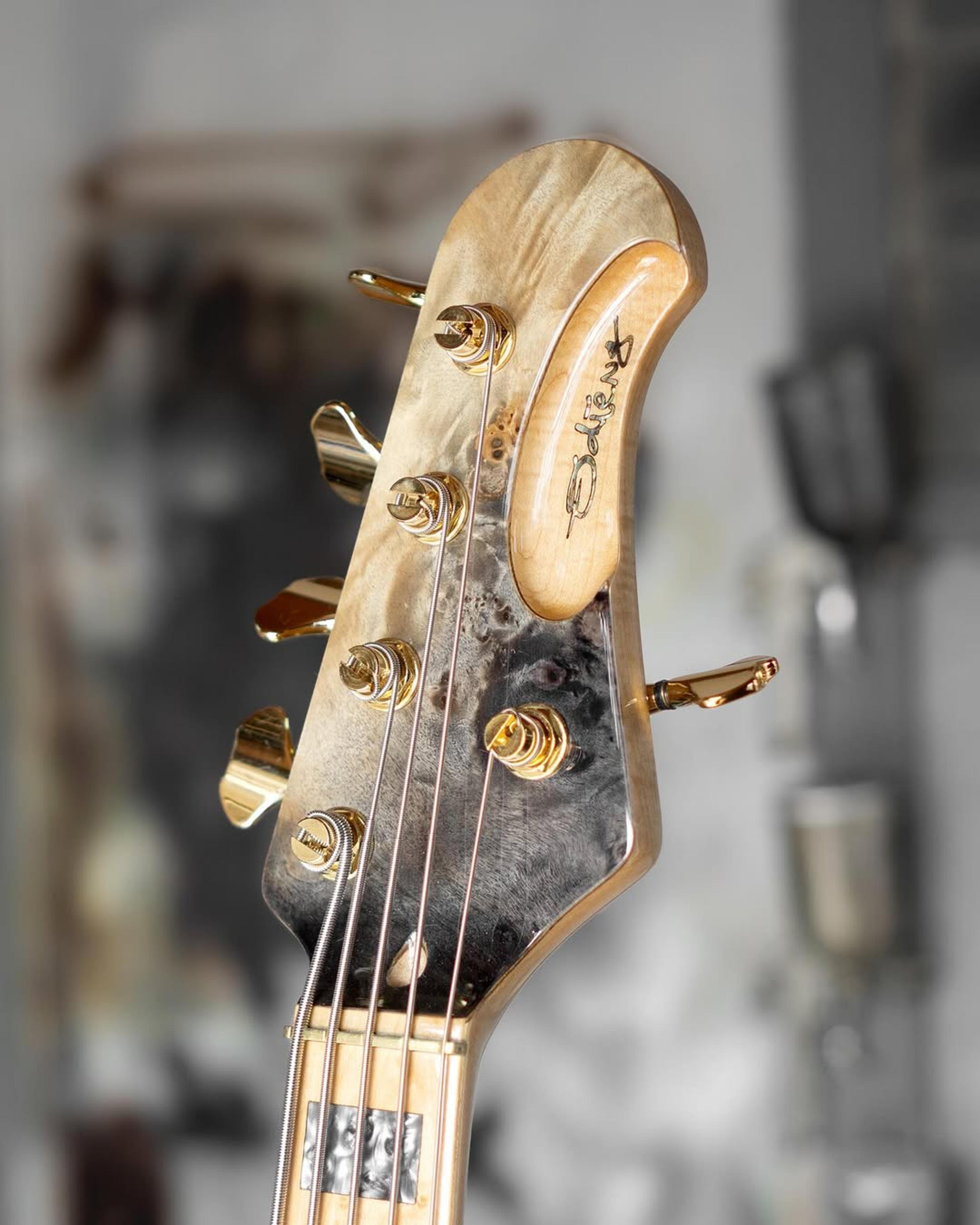 Front Headstock view of the ODIENG Viper 5 string bass