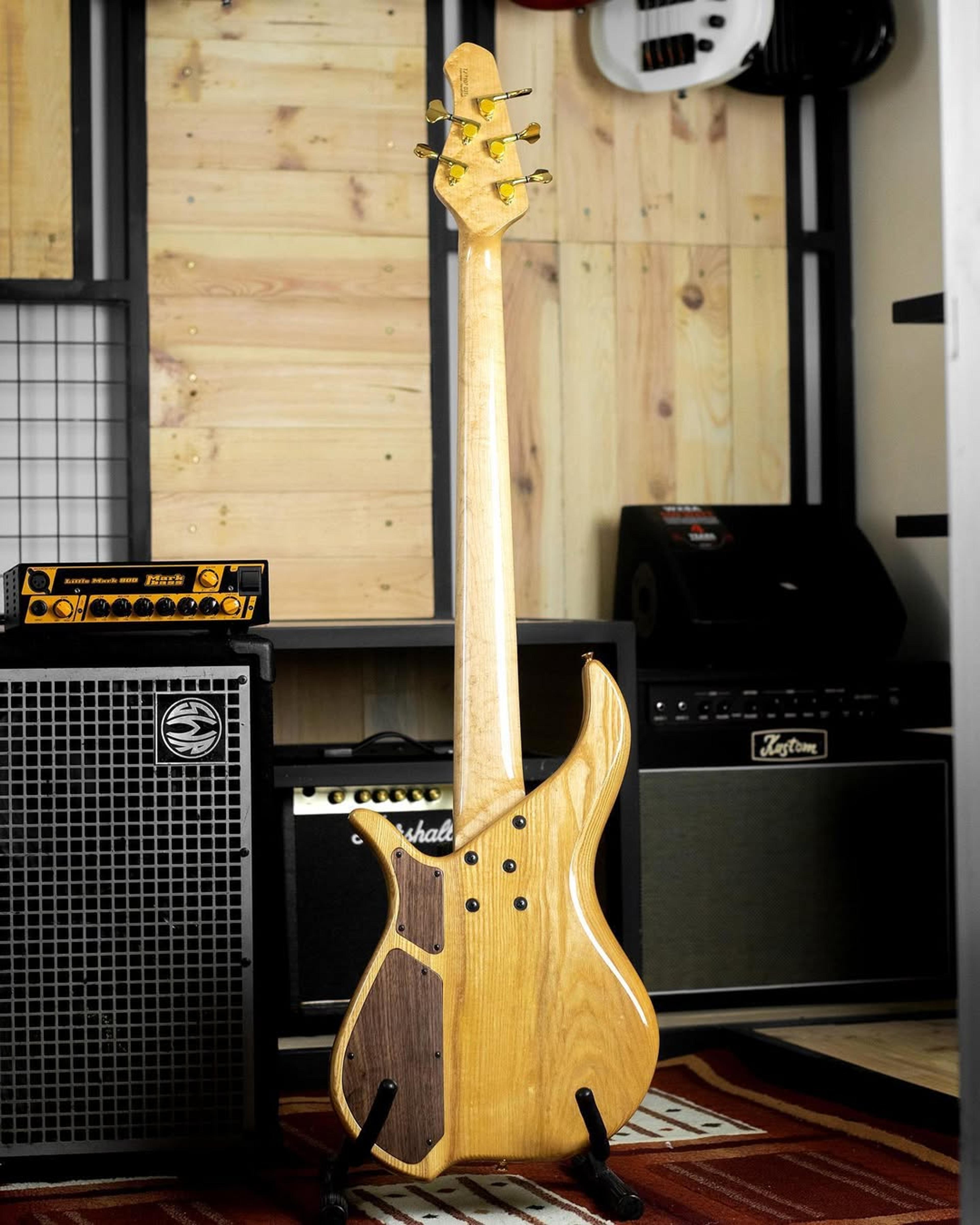 Full Back front view of the ODIENG Viper 5 string bass