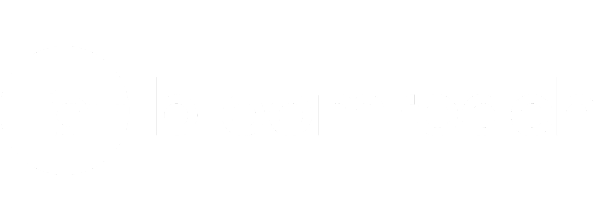 Bloomreach Logo 