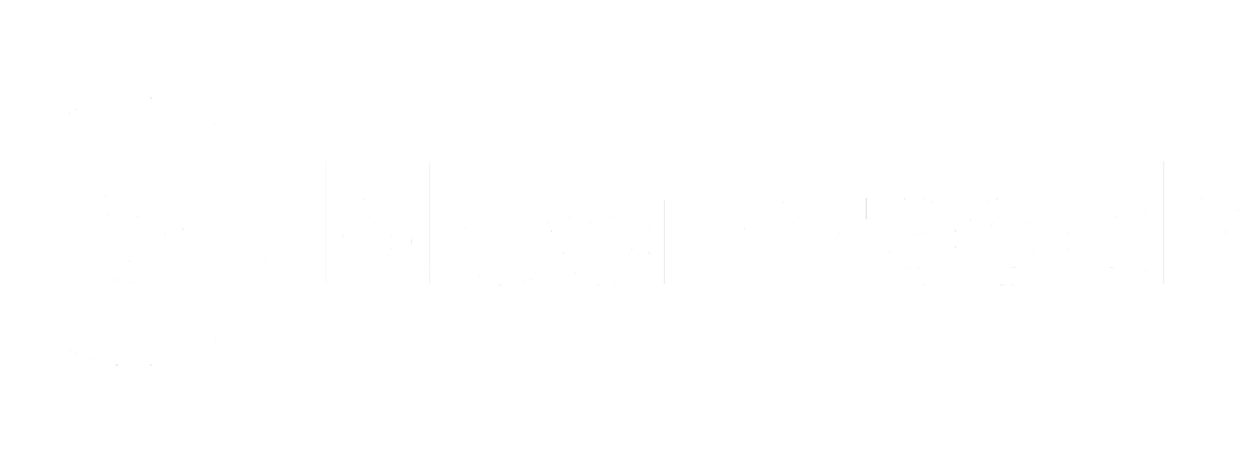 Bloomreach Logo