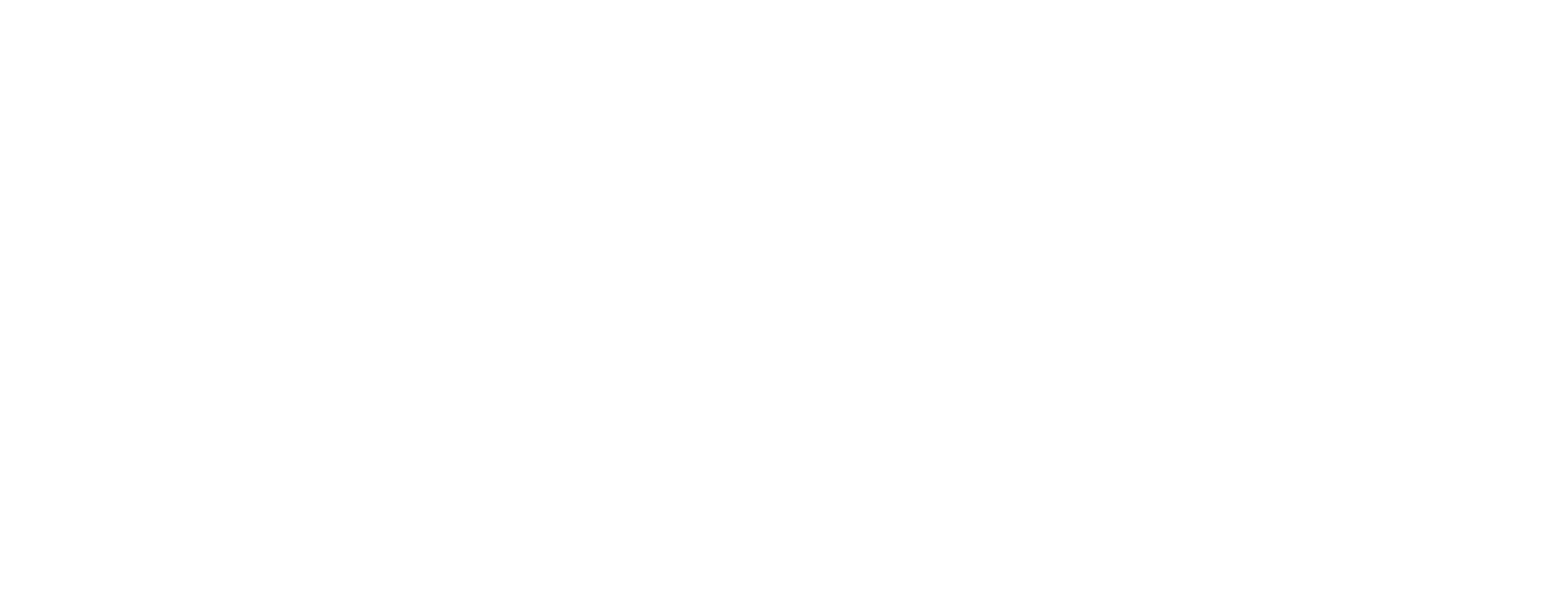 Sanity Logo 
