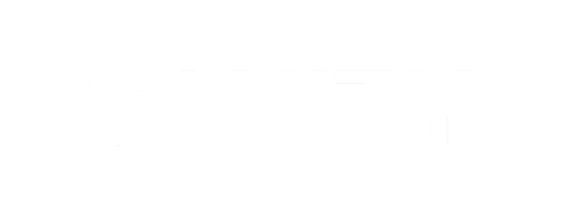 Sanity Logo 