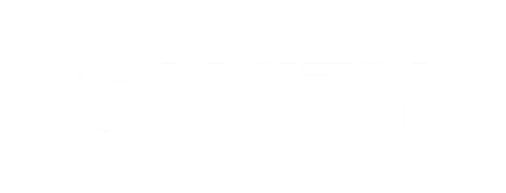 Sanity Logo